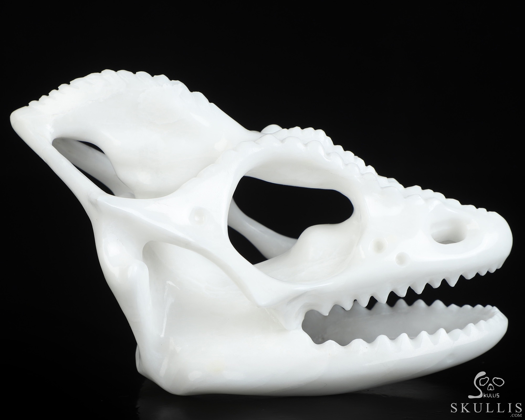 5.4" White Jade Hand Carved Tyrannosaurus/Dinosaur Crystal Skull Sculpture, Crystal Healing 5.4" White Jade Hand Carved Tyrannosaurus/Dinosaur Crystal Skull Sculpture, Crystal Healing