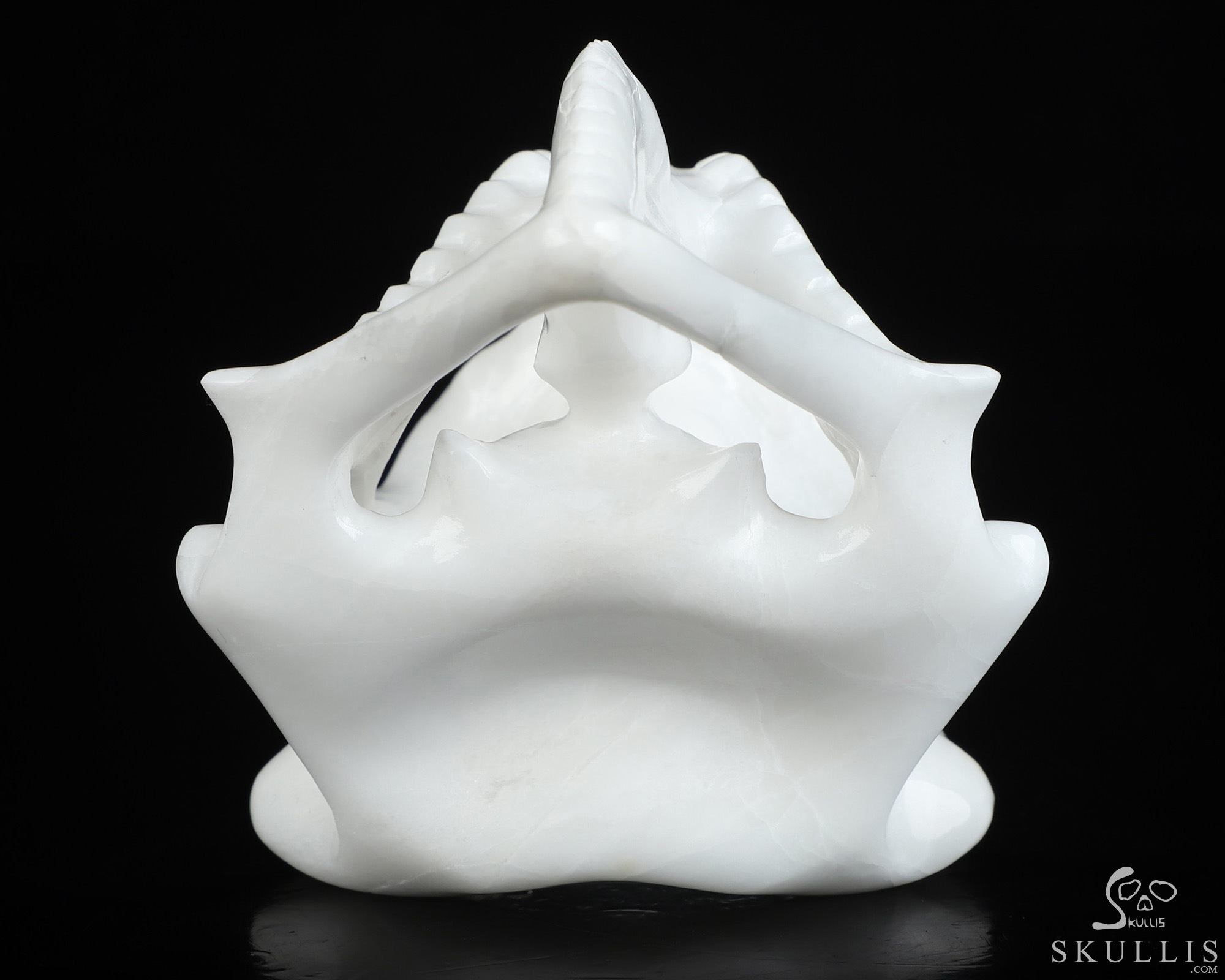 5.4" White Jade Hand Carved Tyrannosaurus/Dinosaur Crystal Skull Sculpture, Crystal Healing 5.4" White Jade Hand Carved Tyrannosaurus/Dinosaur Crystal Skull Sculpture, Crystal Healing