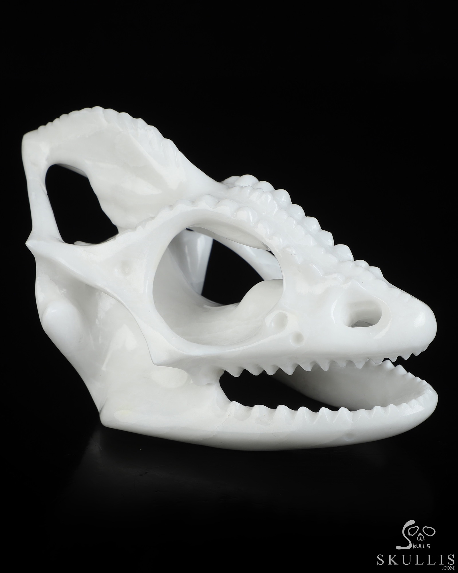 5.4" White Jade Hand Carved Tyrannosaurus/Dinosaur Crystal Skull Sculpture, Crystal Healing 5.4" White Jade Hand Carved Tyrannosaurus/Dinosaur Crystal Skull Sculpture, Crystal Healing
