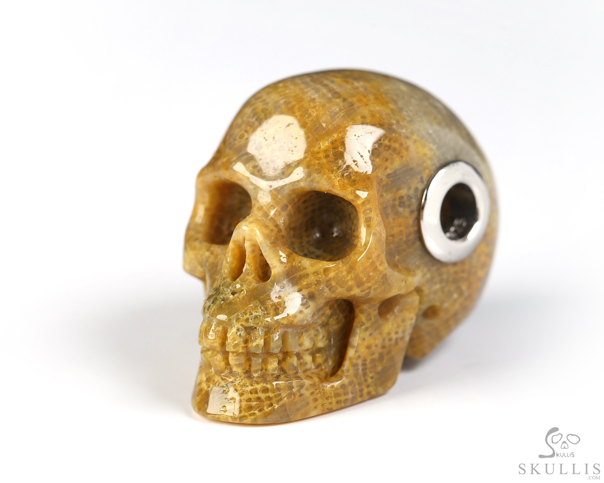 Necklace of 1.1" Coral Fossil Hand Carved Crystal Skull Pendant, Skull Jewelry Necklace of 1.1" Coral Fossil Hand Carved Crystal Skull Pendant, Skull Jewelry
