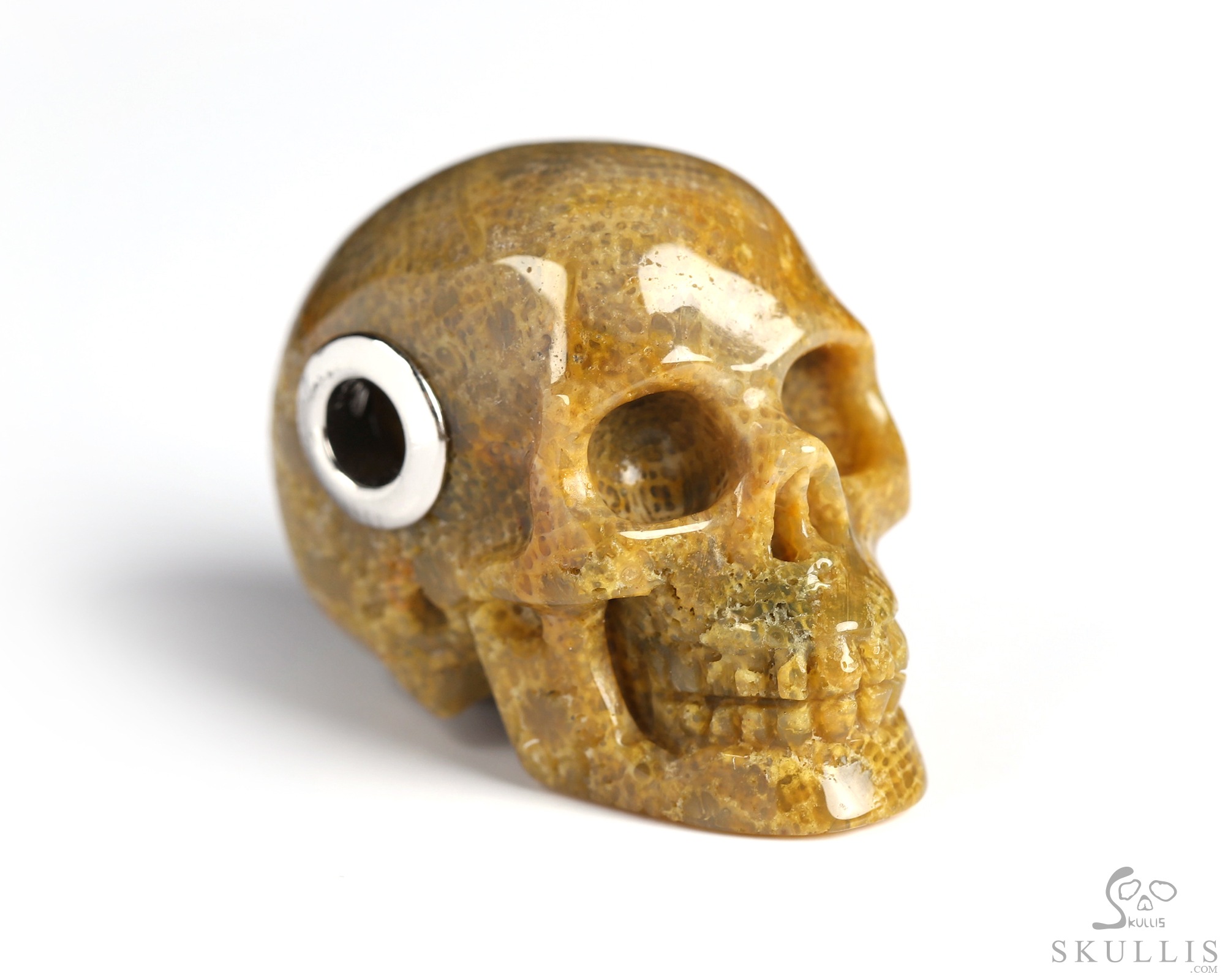 Necklace of 1.1" Coral Fossil Hand Carved Crystal Skull Pendant, Skull Jewelry Necklace of 1.1" Coral Fossil Hand Carved Crystal Skull Pendant, Skull Jewelry