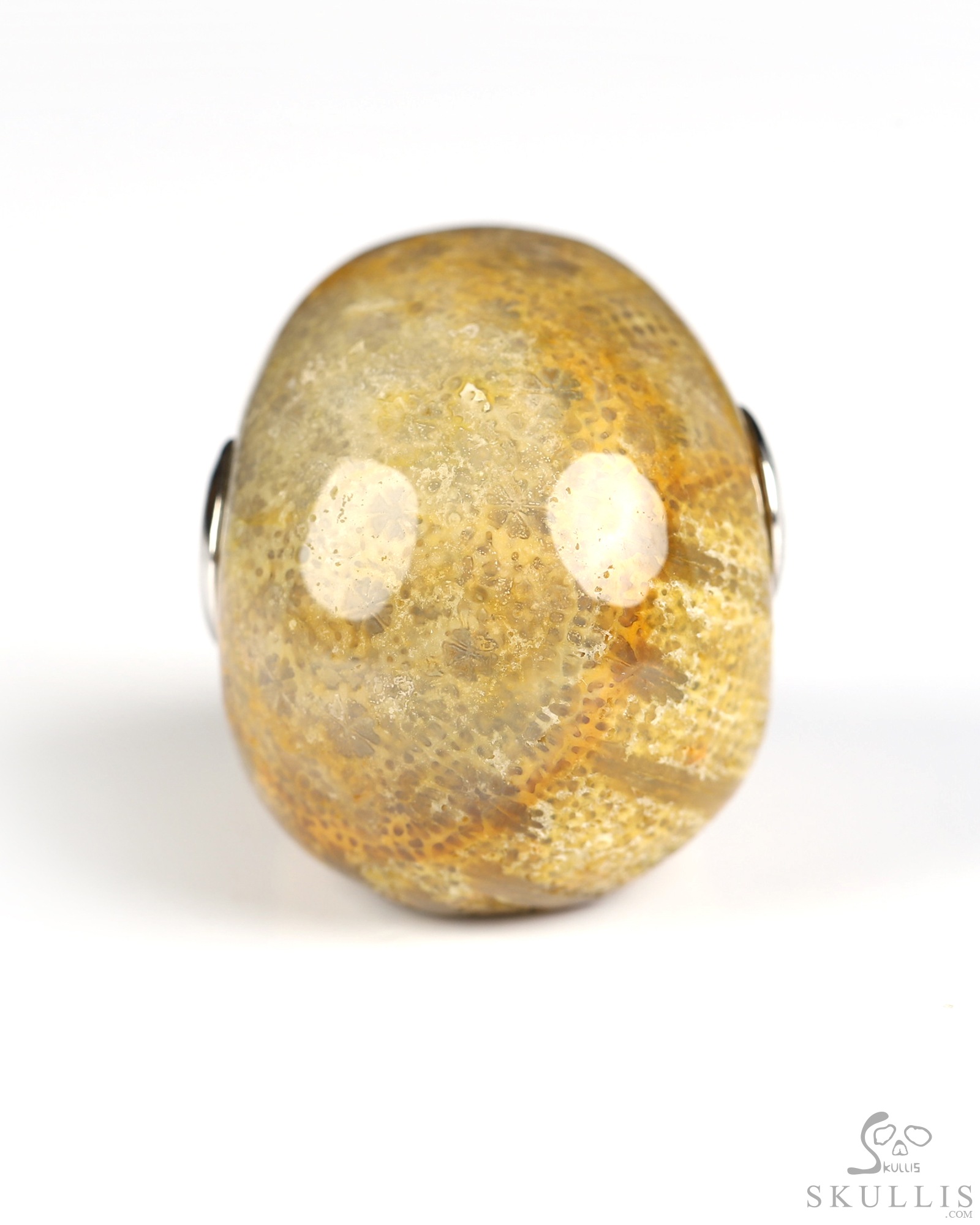 Necklace of 1.1" Coral Fossil Hand Carved Crystal Skull Pendant, Skull Jewelry Necklace of 1.1" Coral Fossil Hand Carved Crystal Skull Pendant, Skull Jewelry