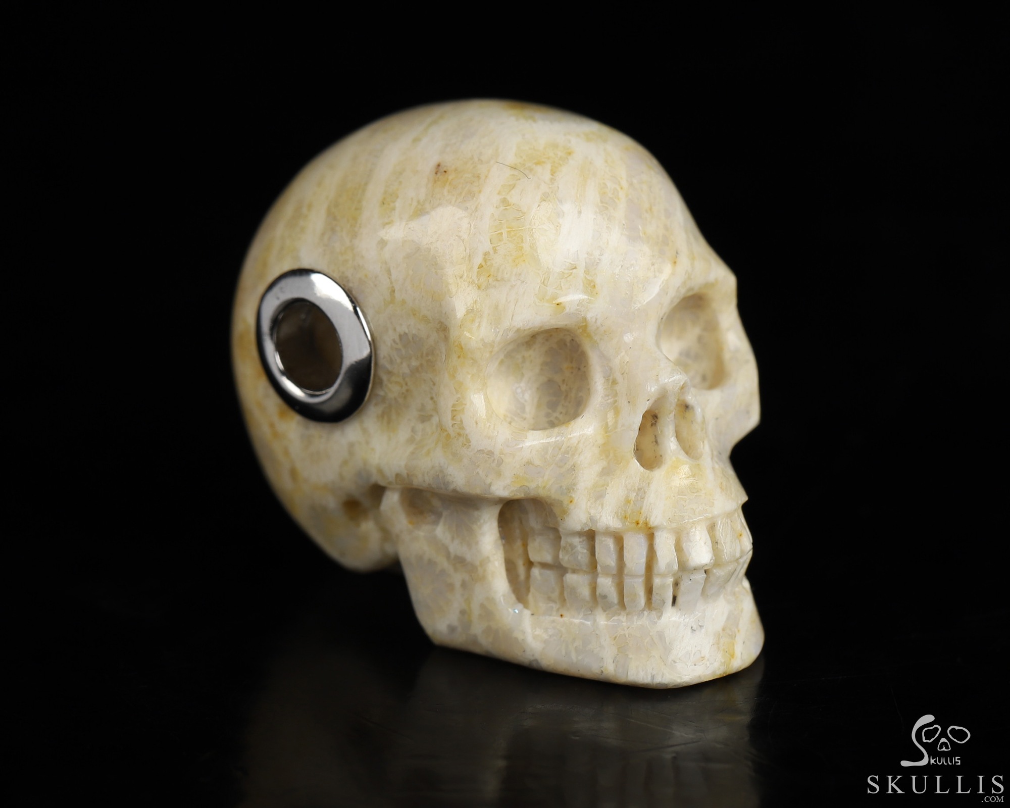 Necklace of 1.1" Coral Fossil Hand Carved Crystal Skull Pendant, Skull Jewelry Necklace of 1.1" Coral Fossil Hand Carved Crystal Skull Pendant, Skull Jewelry