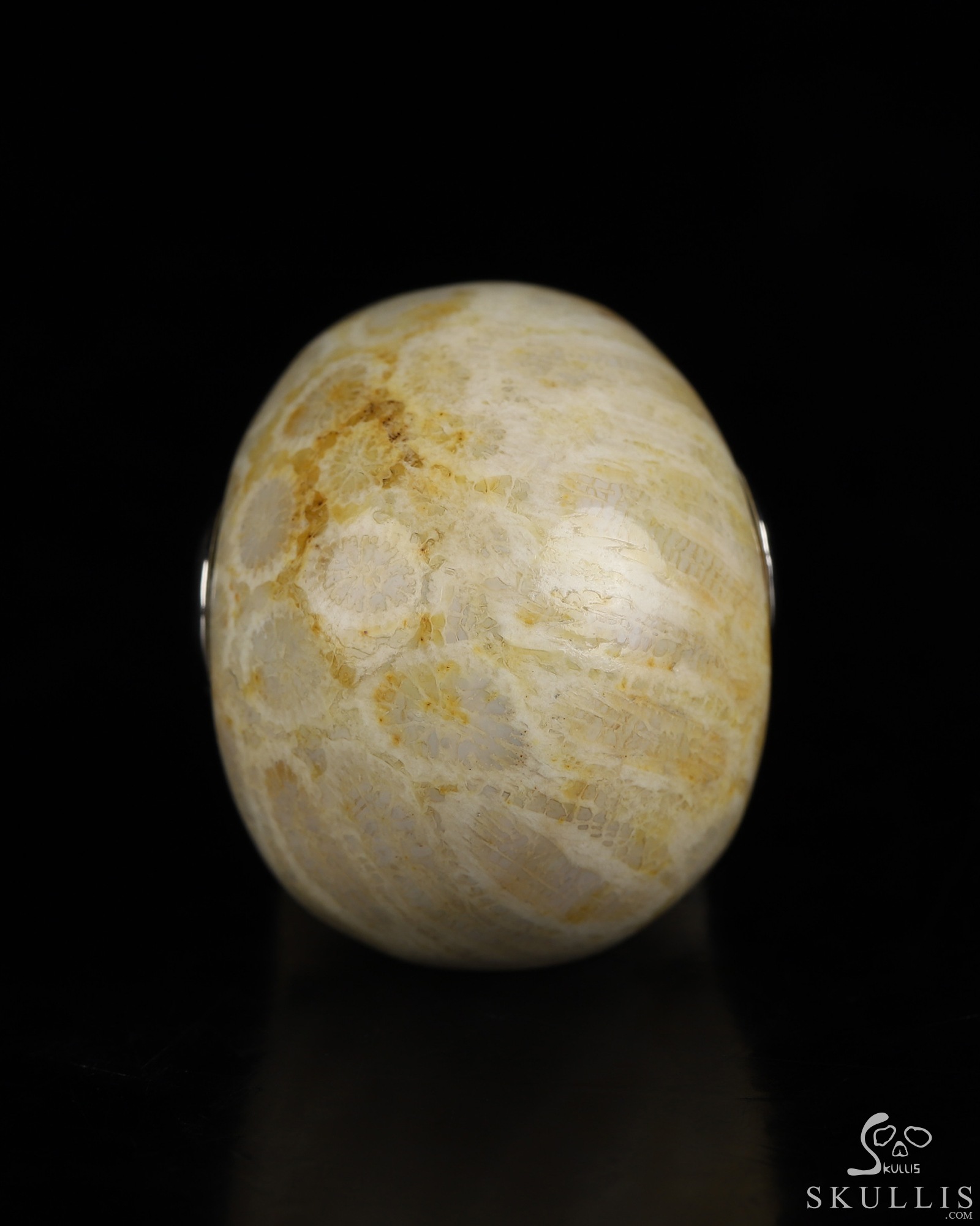 Necklace of 1.1" Coral Fossil Hand Carved Crystal Skull Pendant, Skull Jewelry Necklace of 1.1" Coral Fossil Hand Carved Crystal Skull Pendant, Skull Jewelry