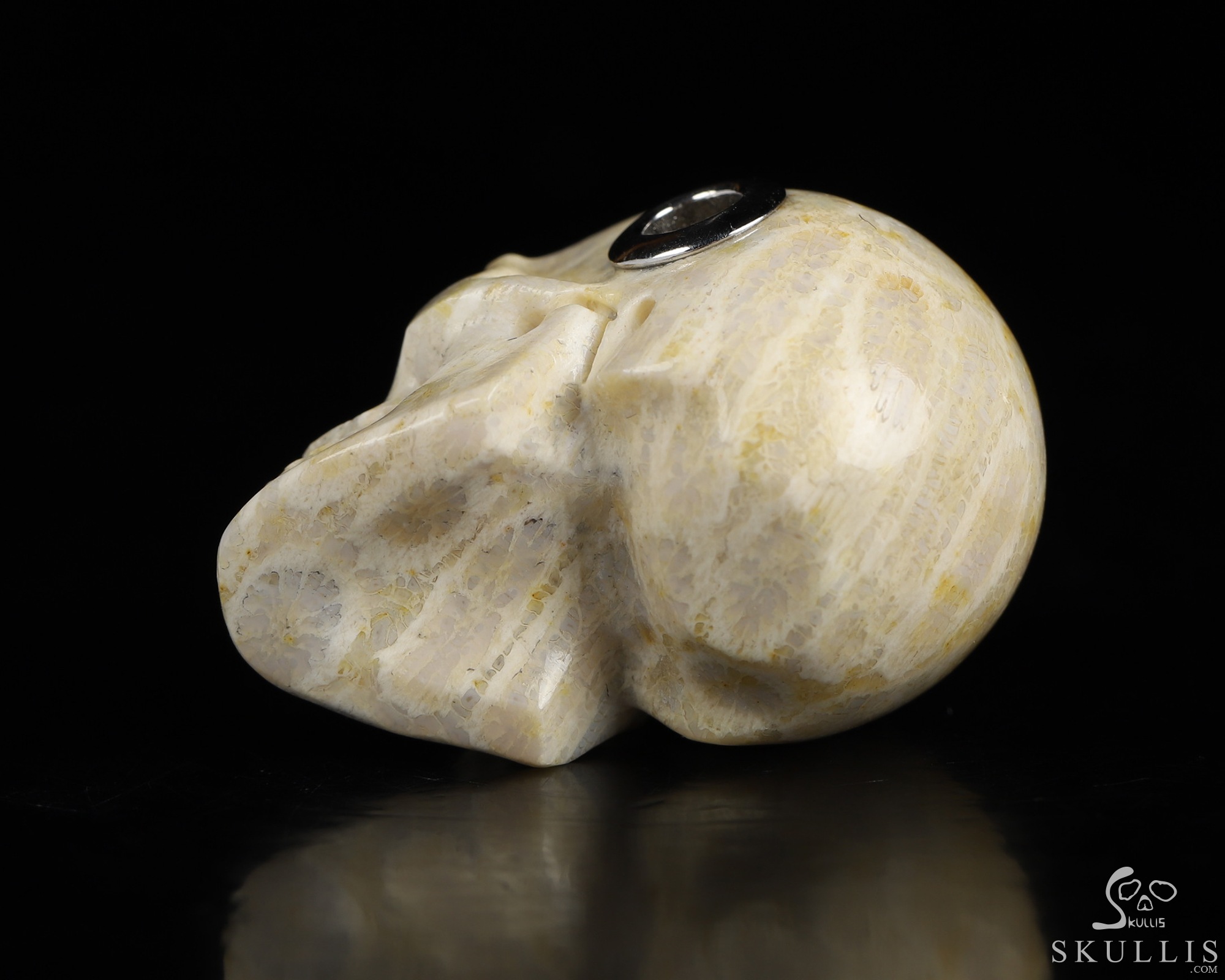 Necklace of 1.1" Coral Fossil Hand Carved Crystal Skull Pendant, Skull Jewelry Necklace of 1.1" Coral Fossil Hand Carved Crystal Skull Pendant, Skull Jewelry