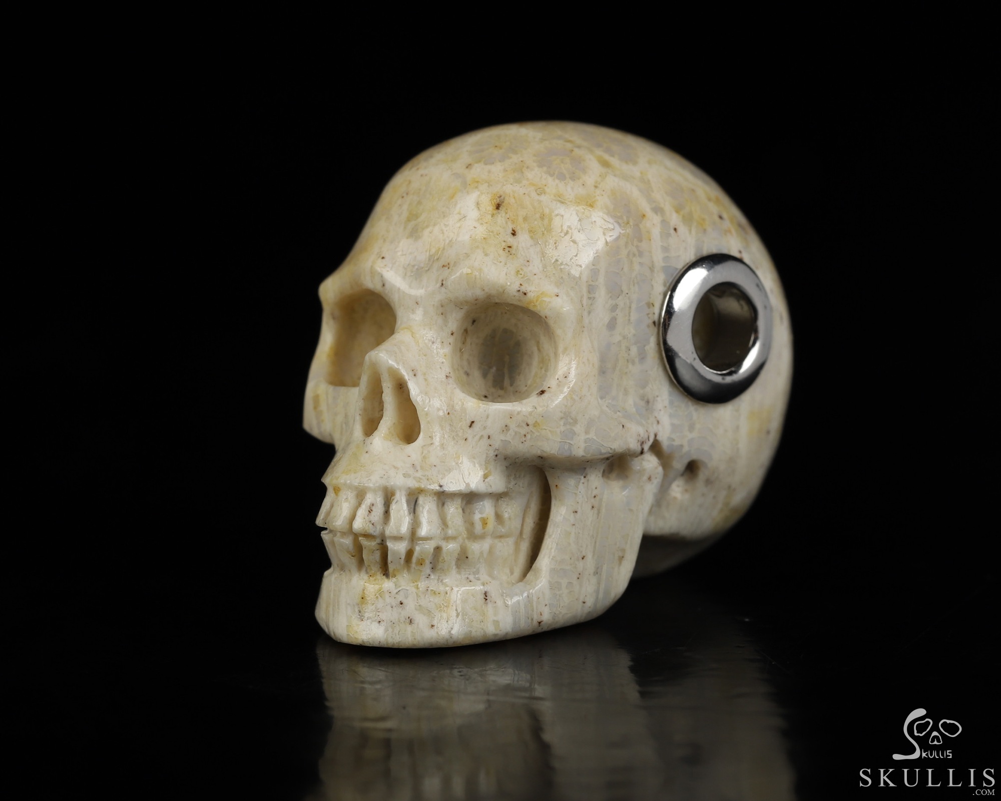 Necklace of 1.1" Coral Fossil Hand Carved Crystal Skull Pendant, Skull Jewelry Necklace of 1.1" Coral Fossil Hand Carved Crystal Skull Pendant, Skull Jewelry