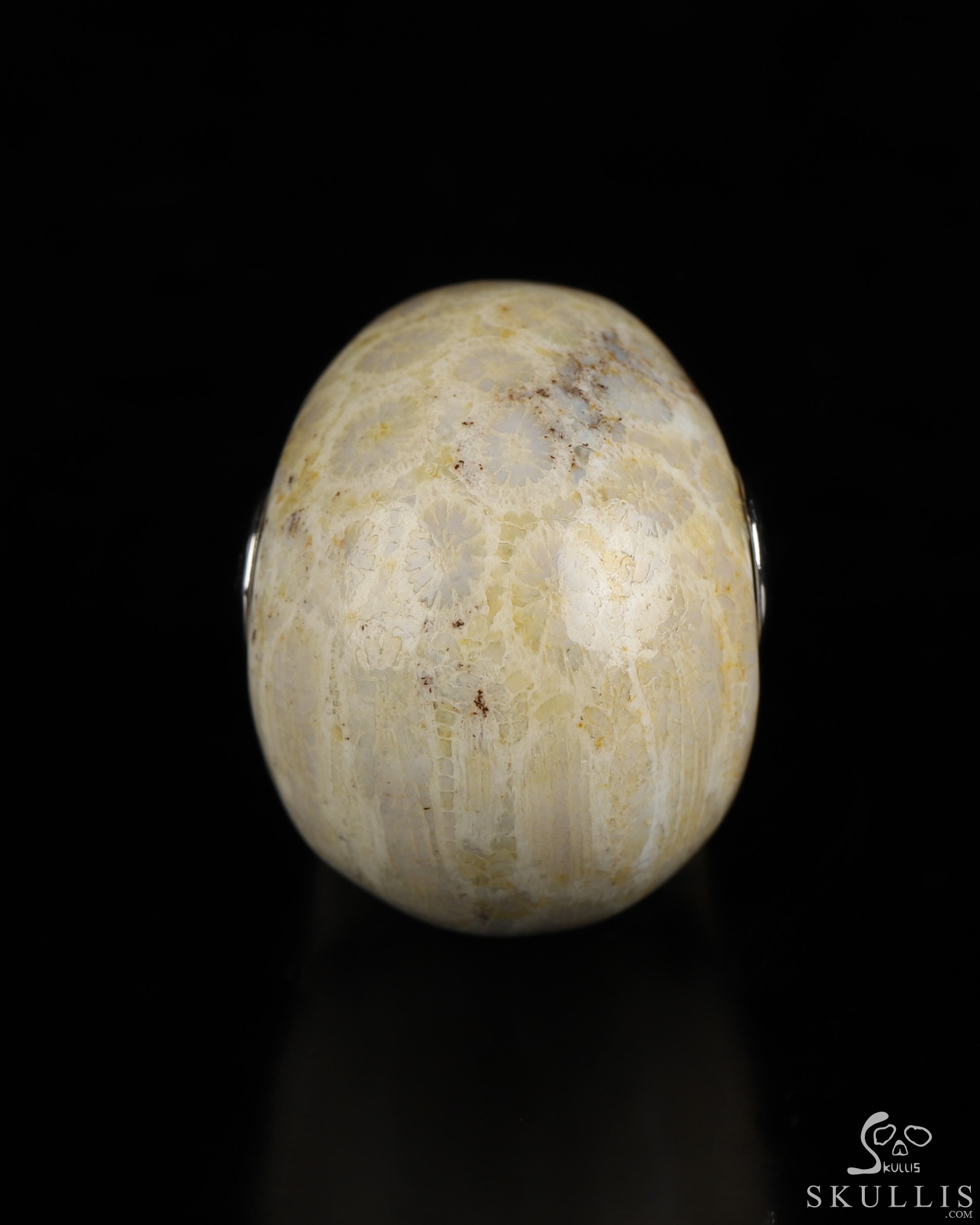 Necklace of 1.1" Coral Fossil Hand Carved Crystal Skull Pendant, Skull Jewelry Necklace of 1.1" Coral Fossil Hand Carved Crystal Skull Pendant, Skull Jewelry