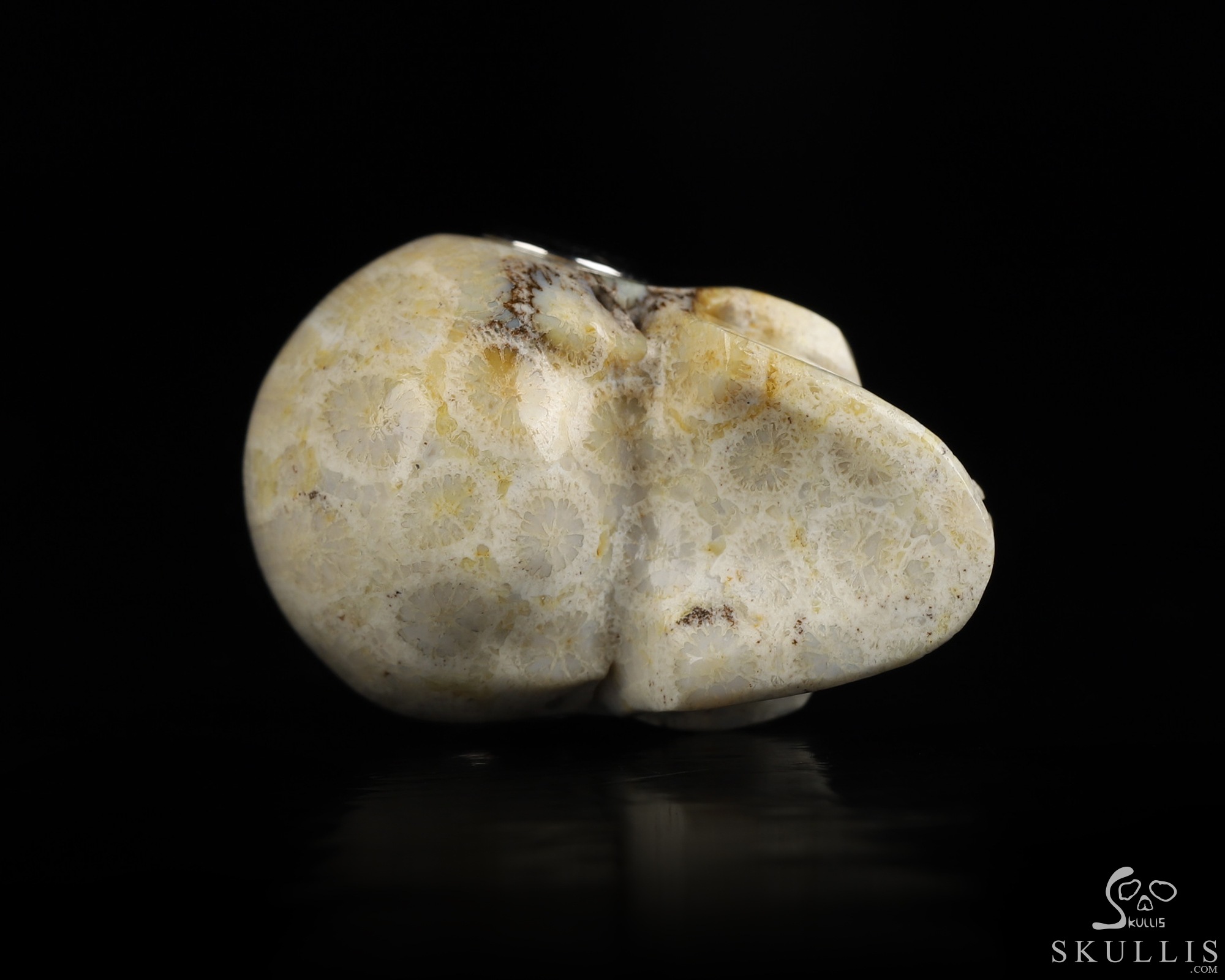 Necklace of 1.1" Coral Fossil Hand Carved Crystal Skull Pendant, Skull Jewelry Necklace of 1.1" Coral Fossil Hand Carved Crystal Skull Pendant, Skull Jewelry