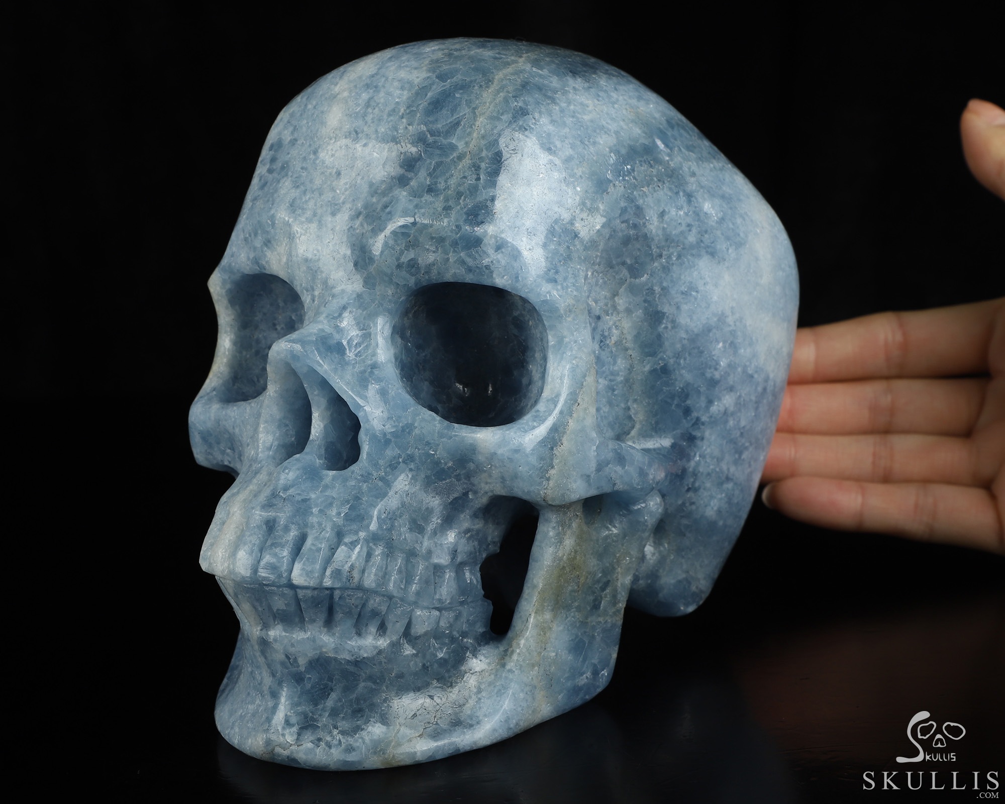 Lifesized 6.8" Blue Calcite Hand Carved Crystal Skull, Super Realistic, Crystal Healing Lifesized 6.8" Blue Calcite Hand Carved Crystal Skull, Super Realistic, Crystal Healing