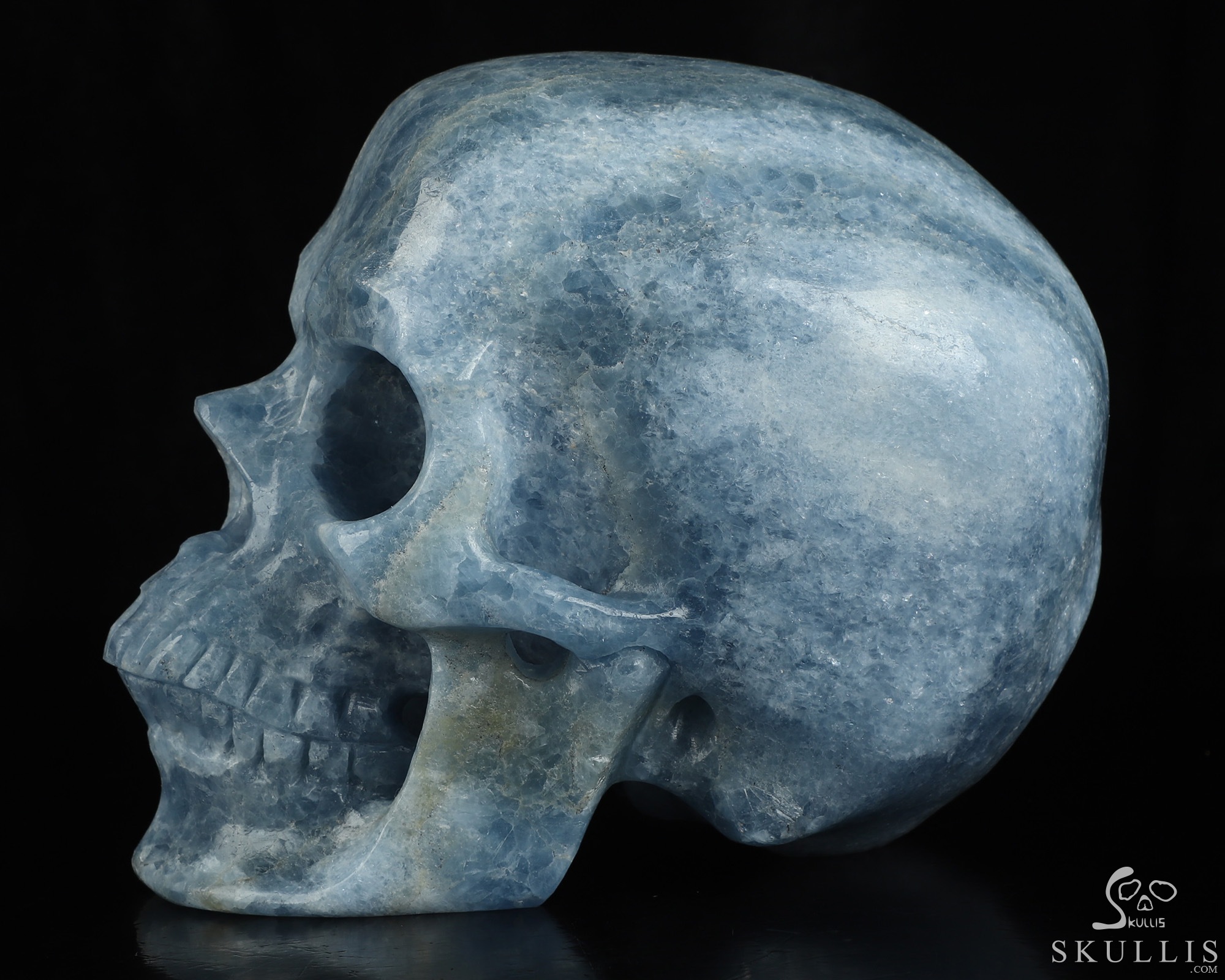 Lifesized 6.8" Blue Calcite Hand Carved Crystal Skull, Super Realistic, Crystal Healing Lifesized 6.8" Blue Calcite Hand Carved Crystal Skull, Super Realistic, Crystal Healing