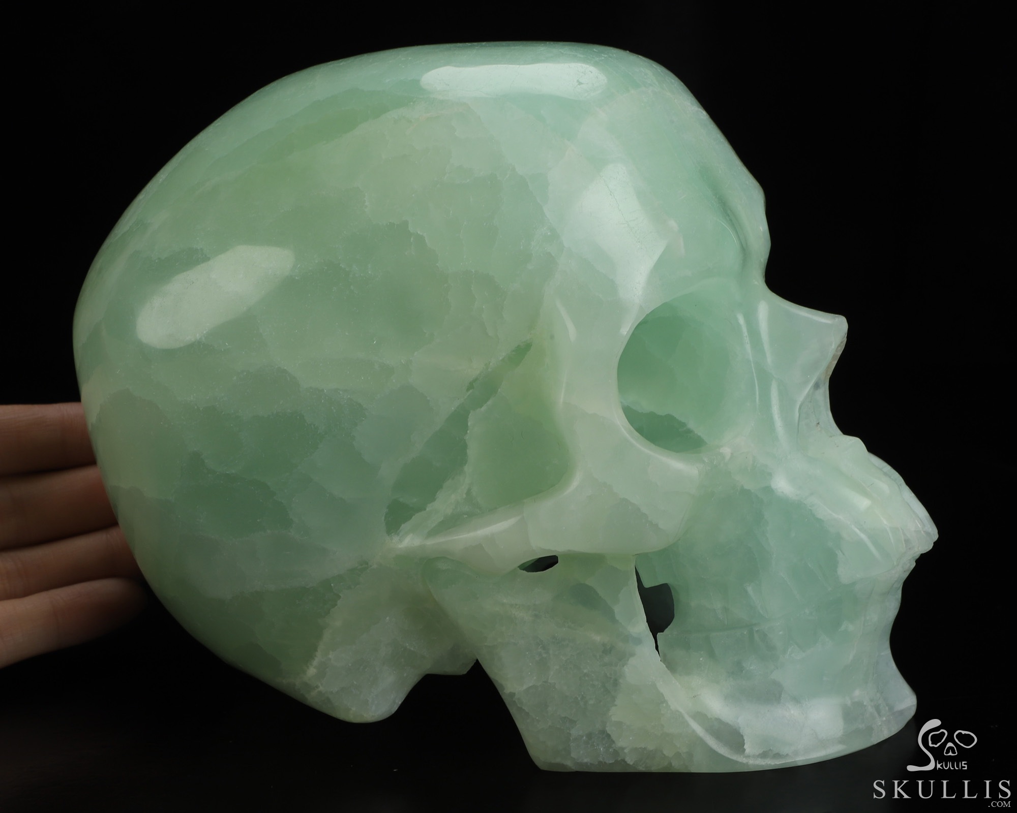 Lifesized 6.9" Picasso Calcite Hand Carved Crystal Skull, Super Realistic, Crystal Healing Lifesized 6.9" Picasso Calcite Hand Carved Crystal Skull, Super Realistic, Crystal Healing