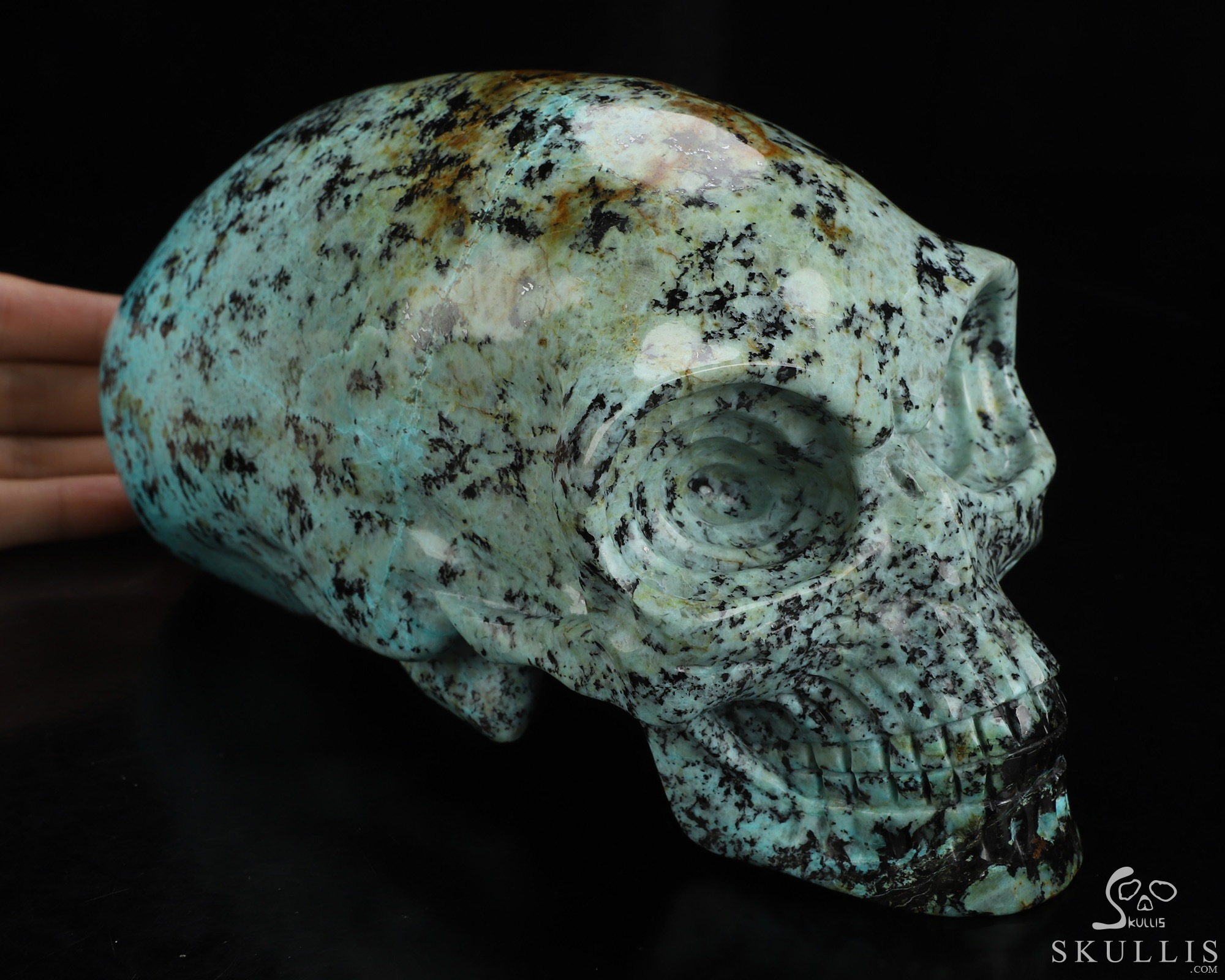 Gemstone 8.9" African Turquoise Hand Carved Crystal Elongated Mayan Alien Skull Sculpture, Crystal Healing Gemstone 8.9" African Turquoise Hand Carved Crystal Elongated Mayan Alien Skull Sculpture, Crystal Healing
