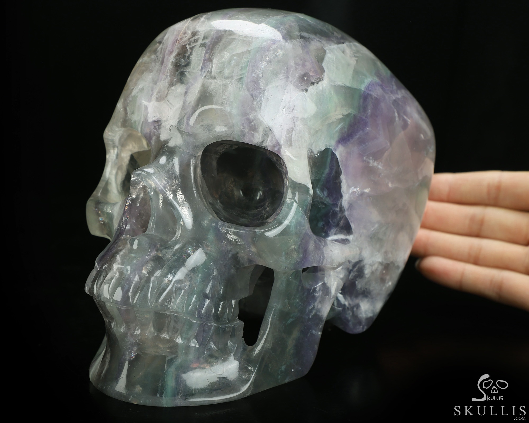 Lifesized 6.9" Fluorite Hand Carved Crystal Skull, Super Realistic, Crystal Healing Lifesized 6.9" Fluorite Hand Carved Crystal Skull, Super Realistic, Crystal Healing