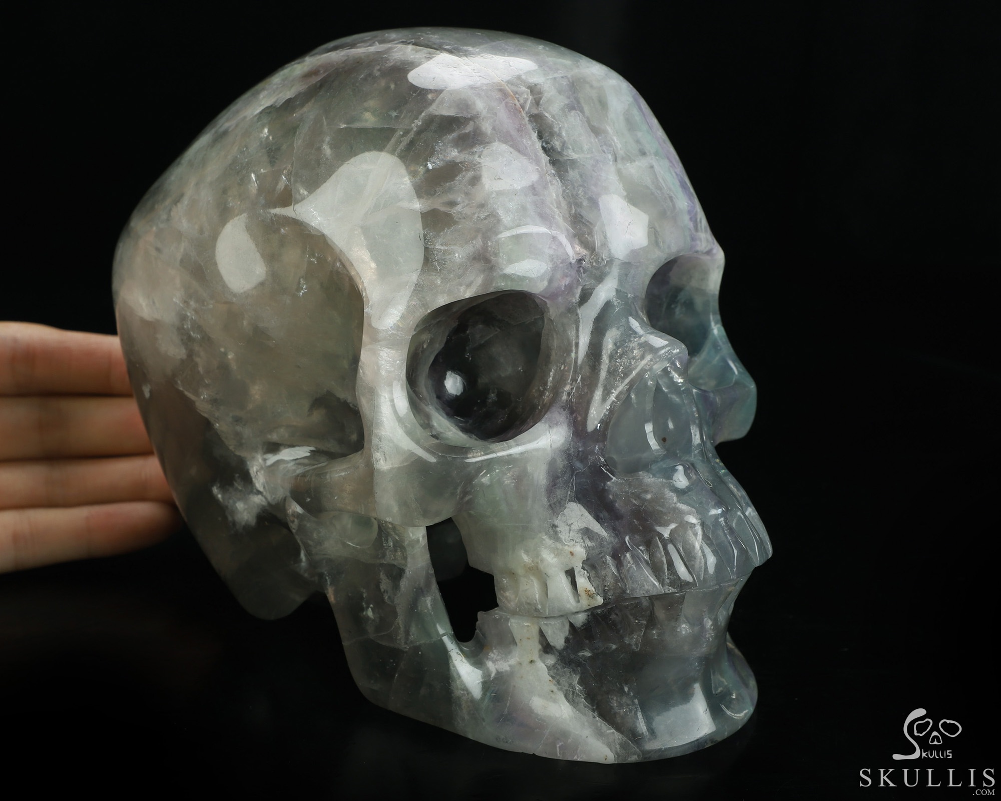 Lifesized 6.9" Fluorite Hand Carved Crystal Skull, Super Realistic, Crystal Healing Lifesized 6.9" Fluorite Hand Carved Crystal Skull, Super Realistic, Crystal Healing