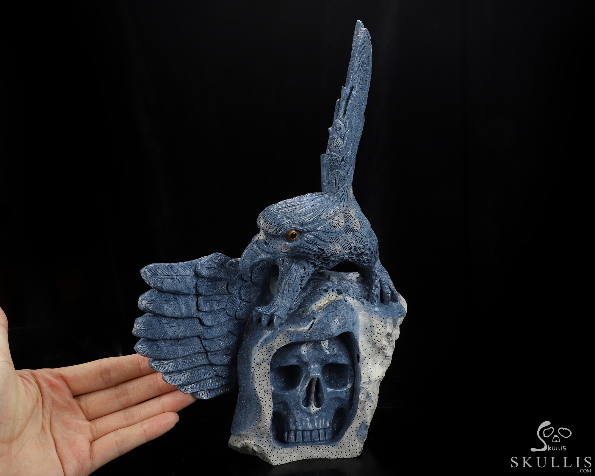 10.2" Blue Ridge Coral Hand Carved Crystal Skull and Eagle Fine Art Sculpture, Crystal Healing 10.2" Blue Ridge Coral Hand Carved Crystal Skull and Eagle Fine Art Sculpture, Crystal Healing