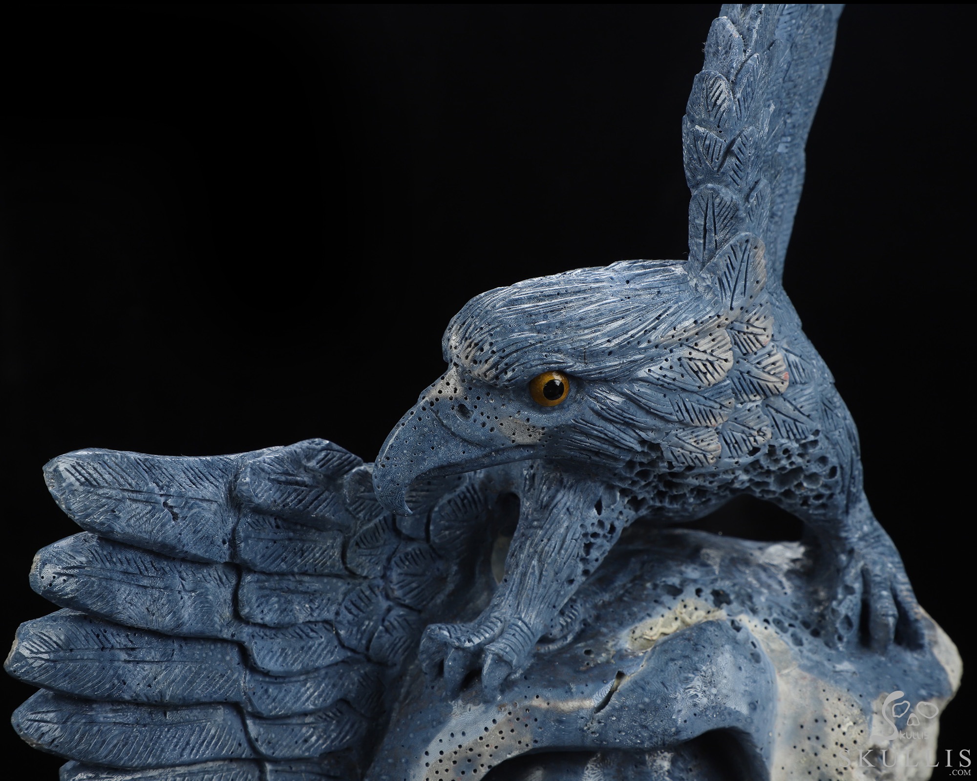 10.2" Blue Ridge Coral Hand Carved Crystal Skull and Eagle Fine Art Sculpture, Crystal Healing 10.2" Blue Ridge Coral Hand Carved Crystal Skull and Eagle Fine Art Sculpture, Crystal Healing