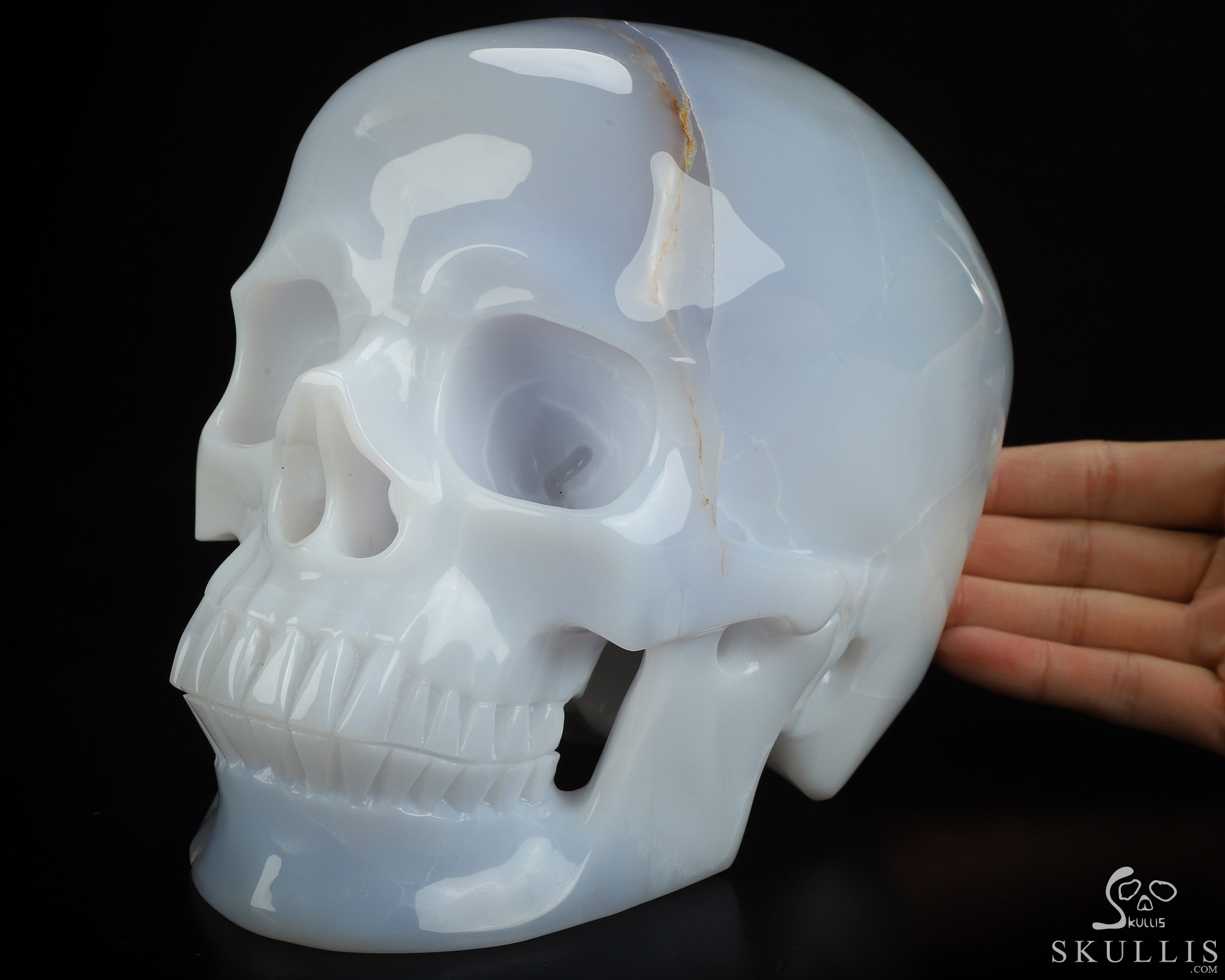 Lifesized 7.3" Blue Chalcedony Hand Carved Crystal Skull, Super Realistic, Crystal Healing Lifesized 7.3" Blue Chalcedony Hand Carved Crystal Skull, Super Realistic, Crystal Healing