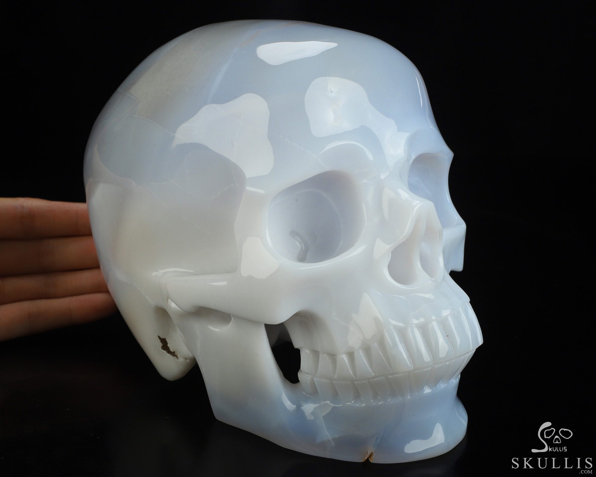 Lifesized 7.3" Blue Chalcedony Hand Carved Crystal Skull, Super Realistic, Crystal Healing Lifesized 7.3" Blue Chalcedony Hand Carved Crystal Skull, Super Realistic, Crystal Healing