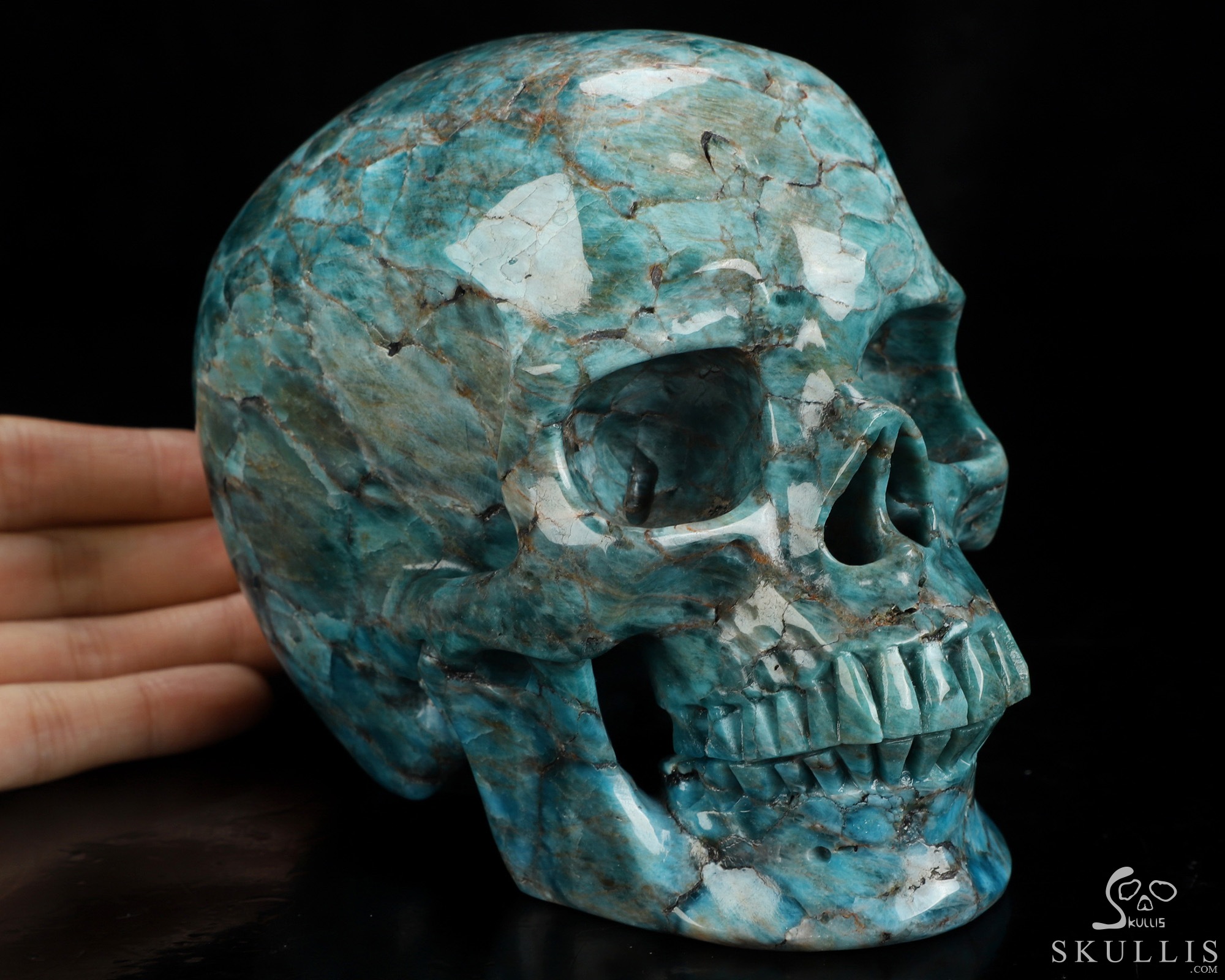 Lifesized 5.5" Blue Apatite Hand Carved Crystal Skull, Super Realistic, Crystal Healing Lifesized 5.5" Blue Apatite Hand Carved Crystal Skull, Super Realistic, Crystal Healing
