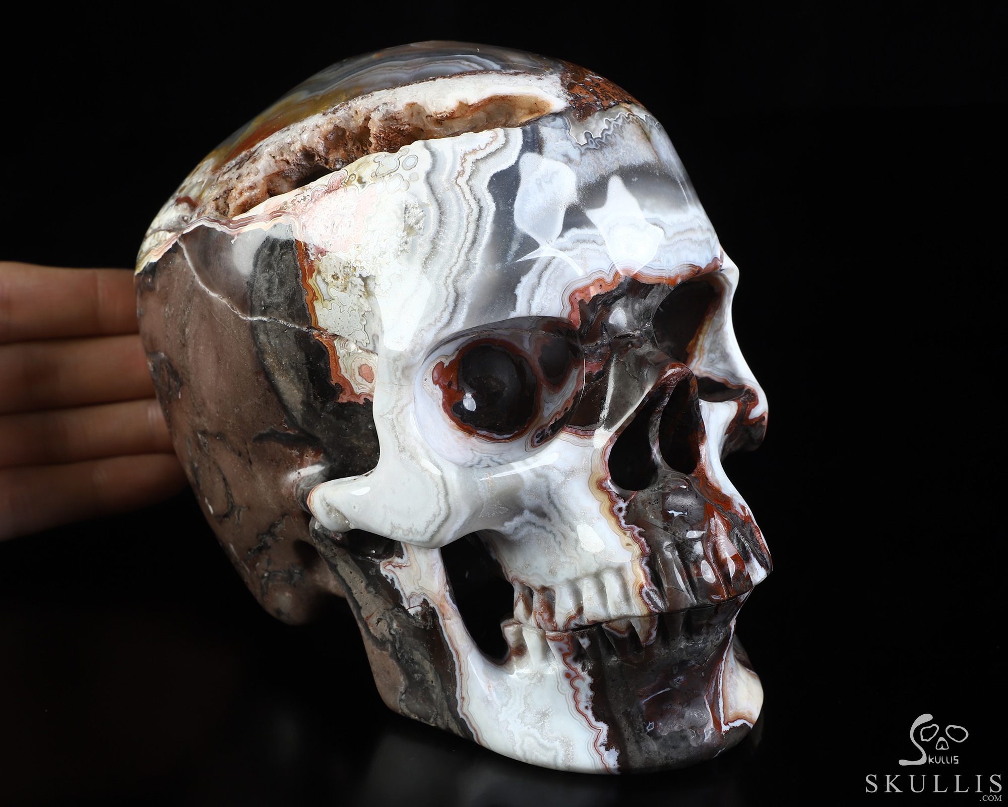 Lifesized 6.0" Red Crazy Lace Agate Hand Carved Crystal Skull, Super Realistic, Crystal Healing Lifesized 6.0" Red Crazy Lace Agate Hand Carved Crystal Skull, Super Realistic, Crystal Healing