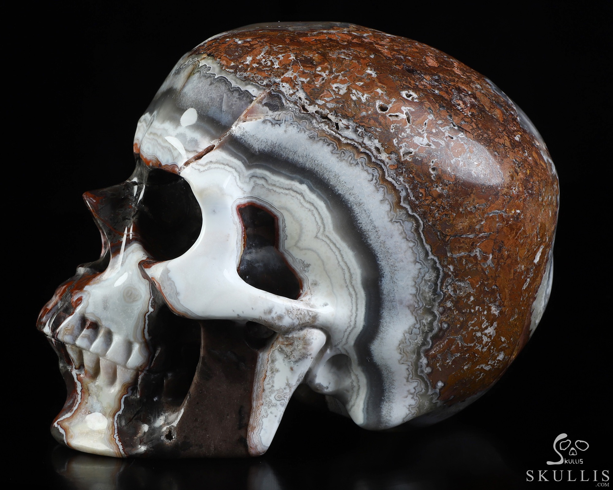 Lifesized 6.0" Red Crazy Lace Agate Hand Carved Crystal Skull, Super Realistic, Crystal Healing Lifesized 6.0" Red Crazy Lace Agate Hand Carved Crystal Skull, Super Realistic, Crystal Healing