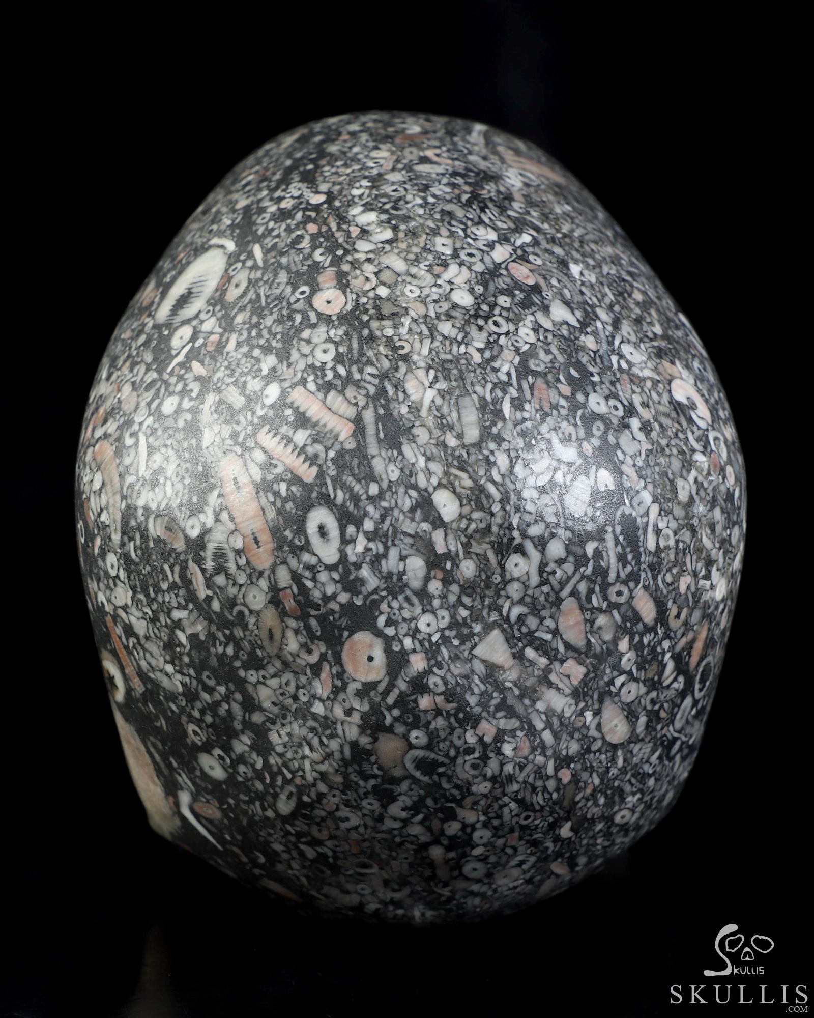 5.0" Crinoid Fossil Hand Carved Crystal Skull, Super Realistic, Crystal Healing 5.0" Crinoid Fossil Hand Carved Crystal Skull, Super Realistic, Crystal Healing