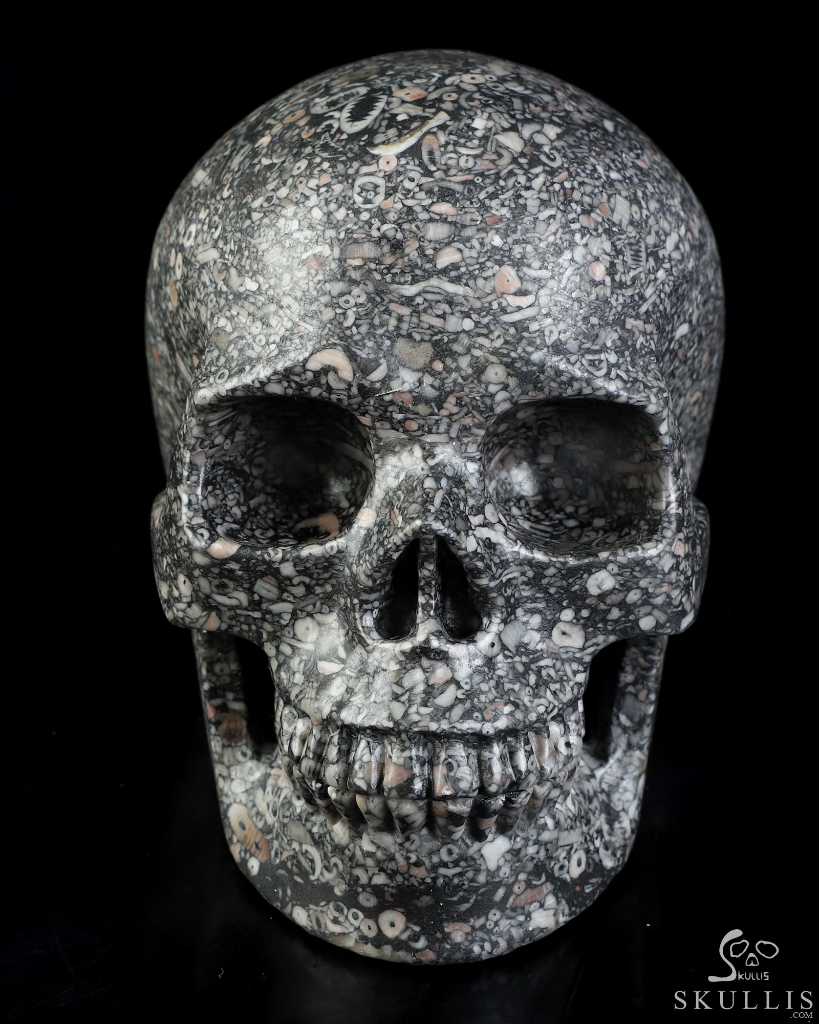 4.9" Crinoid Fossil Hand Carved Crystal Skull, Realistic, Crystal Healing 4.9" Crinoid Fossil Hand Carved Crystal Skull, Realistic, Crystal Healing