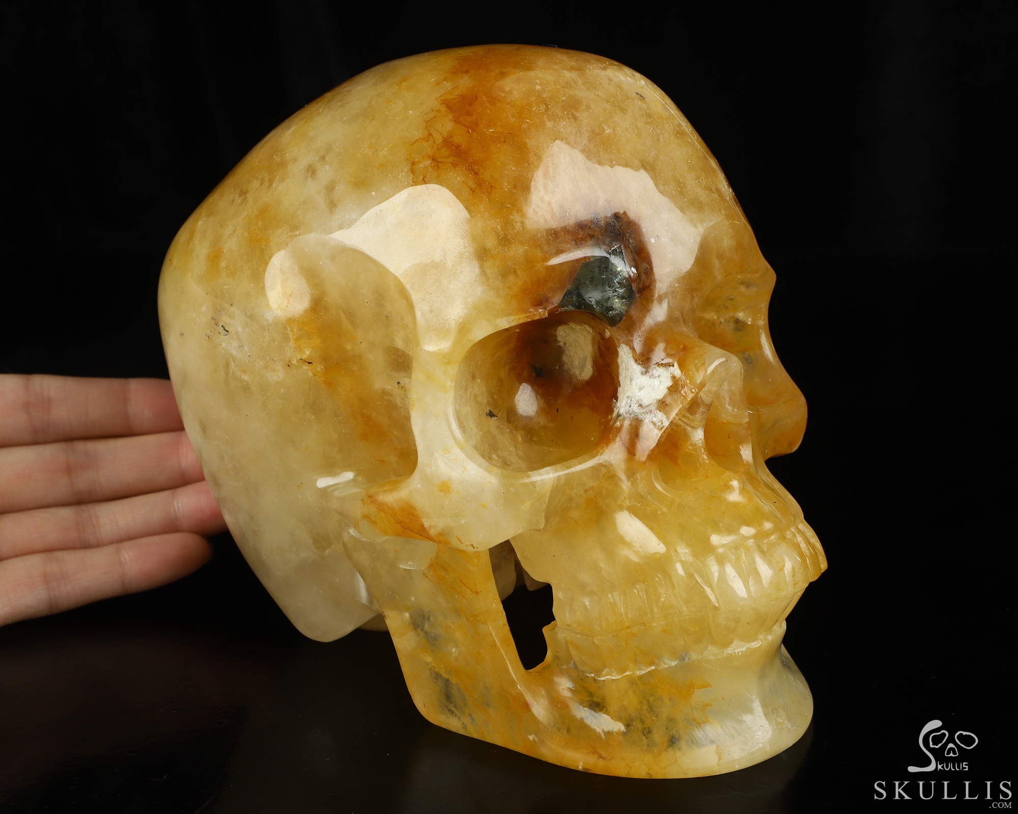 Sept 13, 2026 ACSAD (A Crystal Skull a Day) - Relic of Dawn - Lifesized 6.9" Golden Healer Quartz Hand Carved Crystal Skull, Super Realistic, Crystal Healing Sept 13, 2026 ACSAD (A Crystal Skull a Day) - Relic of Dawn - Lifesized 6.9" Golden Healer Quartz Hand Carved Crystal Skull, Super Realistic, Crystal Healing