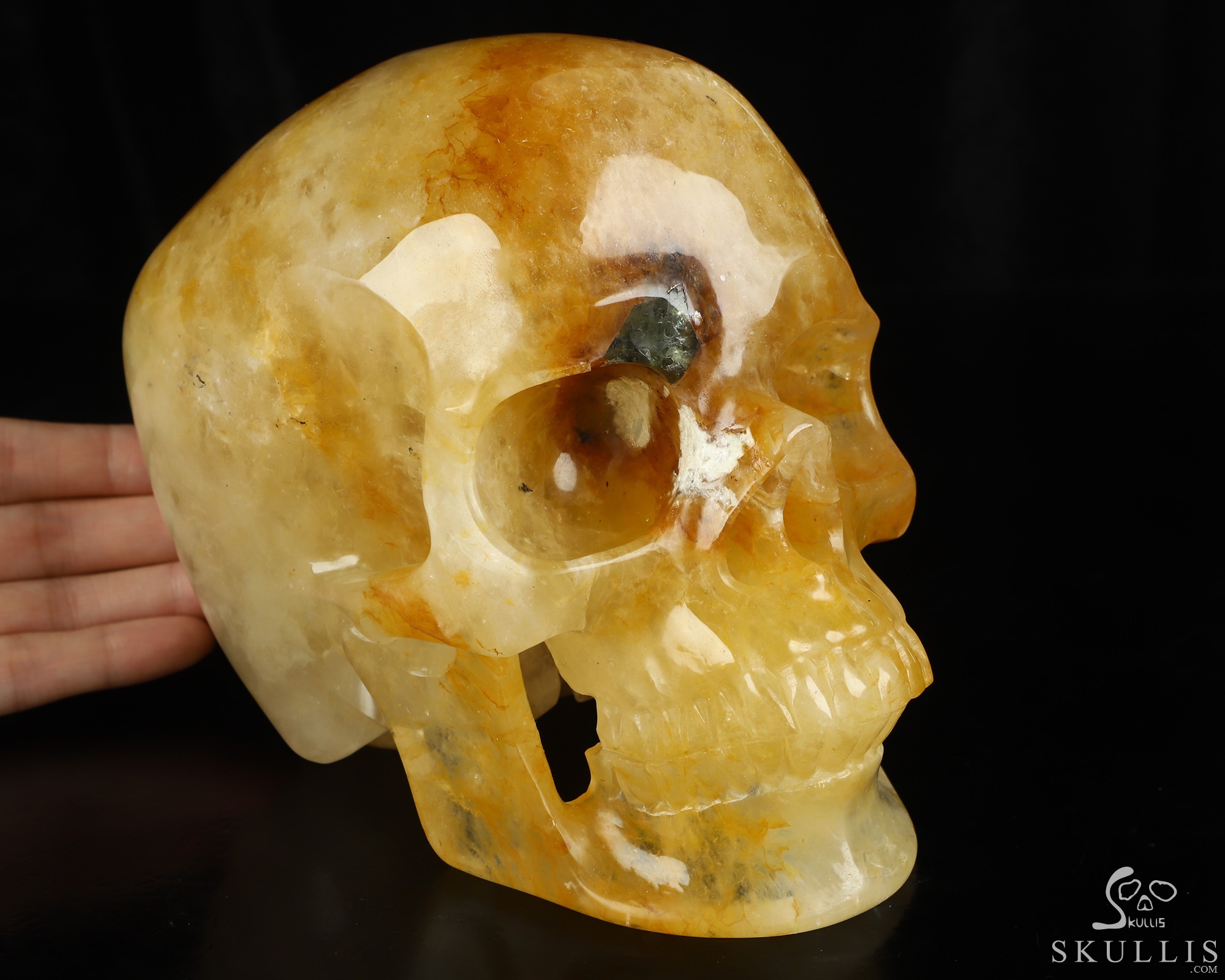 Sept 13, 2026 ACSAD (A Crystal Skull a Day) - Relic of Dawn - Lifesized 6.9" Golden Healer Quartz Hand Carved Crystal Skull, Super Realistic, Crystal Healing Sept 13, 2026 ACSAD (A Crystal Skull a Day) - Relic of Dawn - Lifesized 6.9" Golden Healer Quartz Hand Carved Crystal Skull, Super Realistic, Crystal Healing