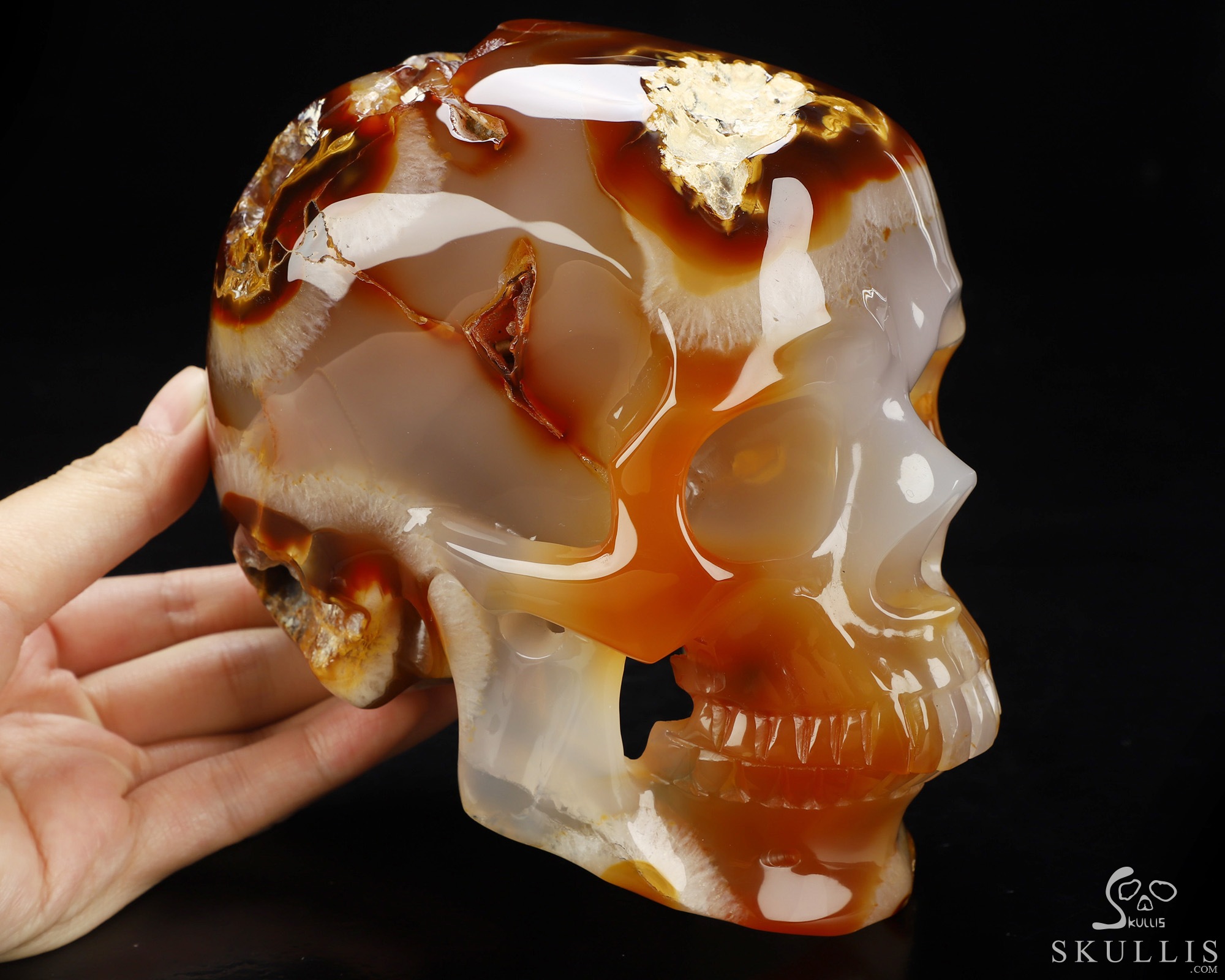 Lifesized 6.0" Carnelian Hand Carved Crystal Skull, Super Realistic, Crystal Healing Lifesized 6.0" Carnelian Hand Carved Crystal Skull, Super Realistic, Crystal Healing