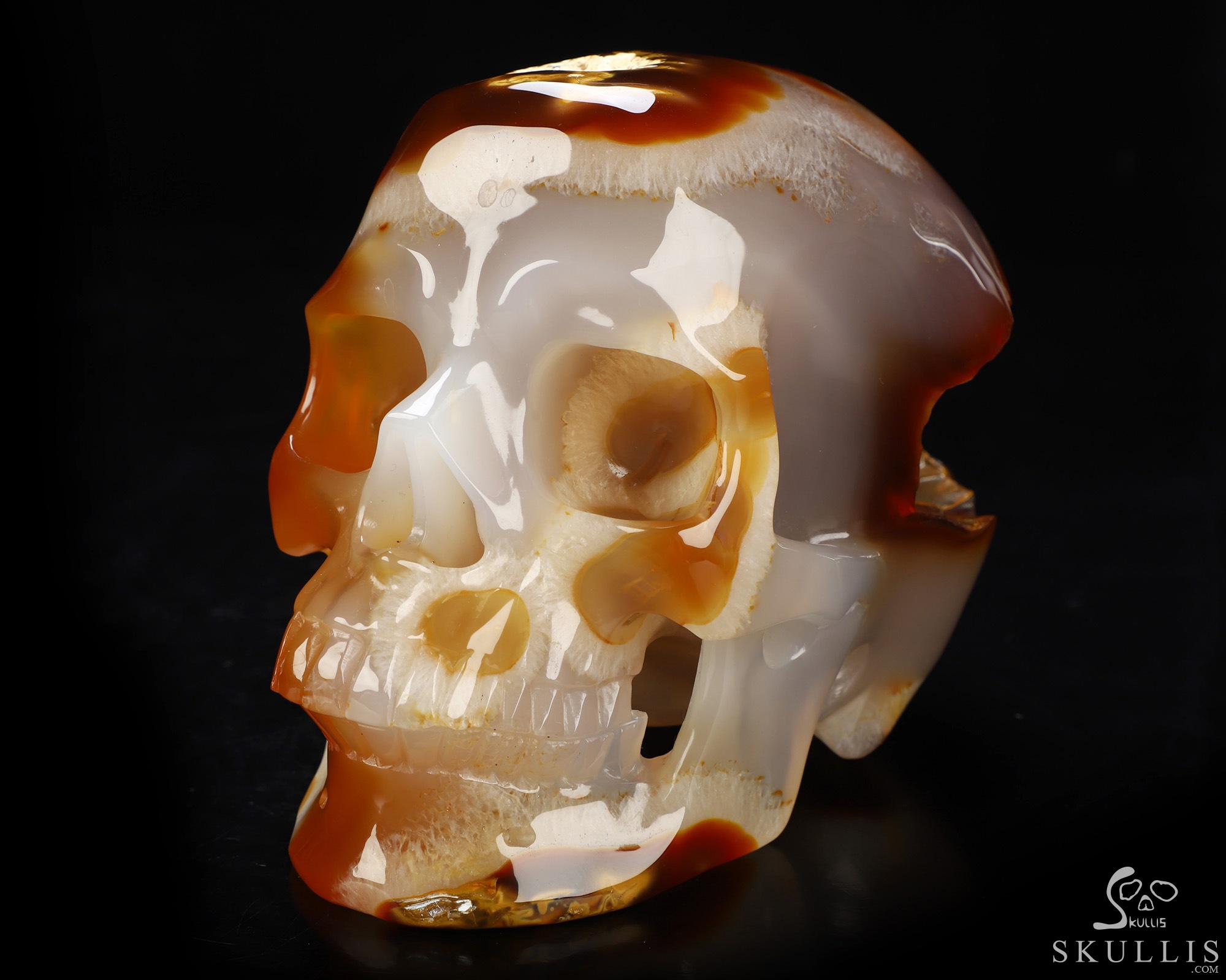 Lifesized 6.0" Carnelian Hand Carved Crystal Skull, Super Realistic, Crystal Healing Lifesized 6.0" Carnelian Hand Carved Crystal Skull, Super Realistic, Crystal Healing