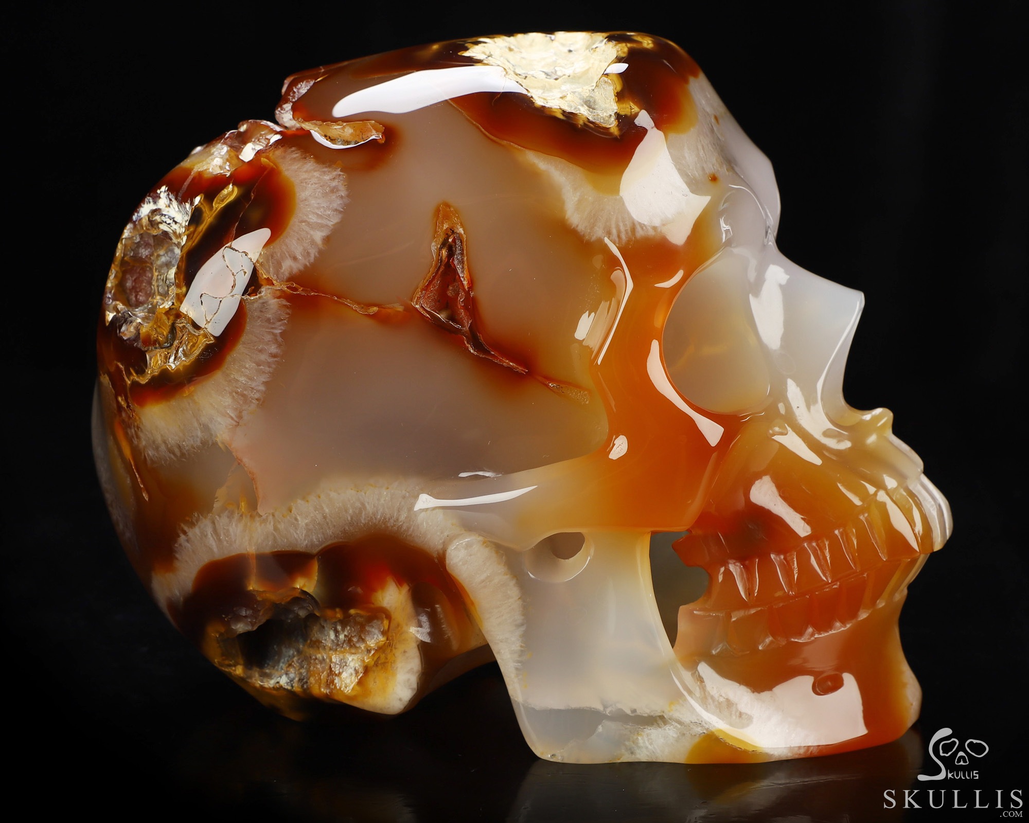 Lifesized 6.0" Carnelian Hand Carved Crystal Skull, Super Realistic, Crystal Healing Lifesized 6.0" Carnelian Hand Carved Crystal Skull, Super Realistic, Crystal Healing