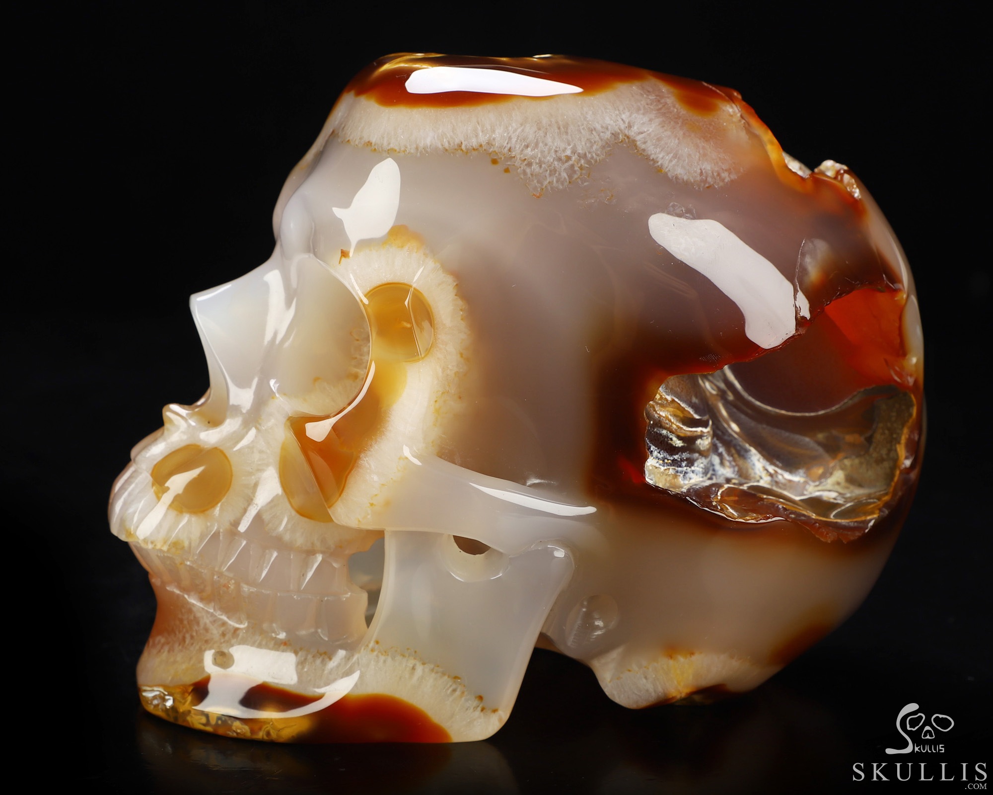 Lifesized 6.0" Carnelian Hand Carved Crystal Skull, Super Realistic, Crystal Healing Lifesized 6.0" Carnelian Hand Carved Crystal Skull, Super Realistic, Crystal Healing