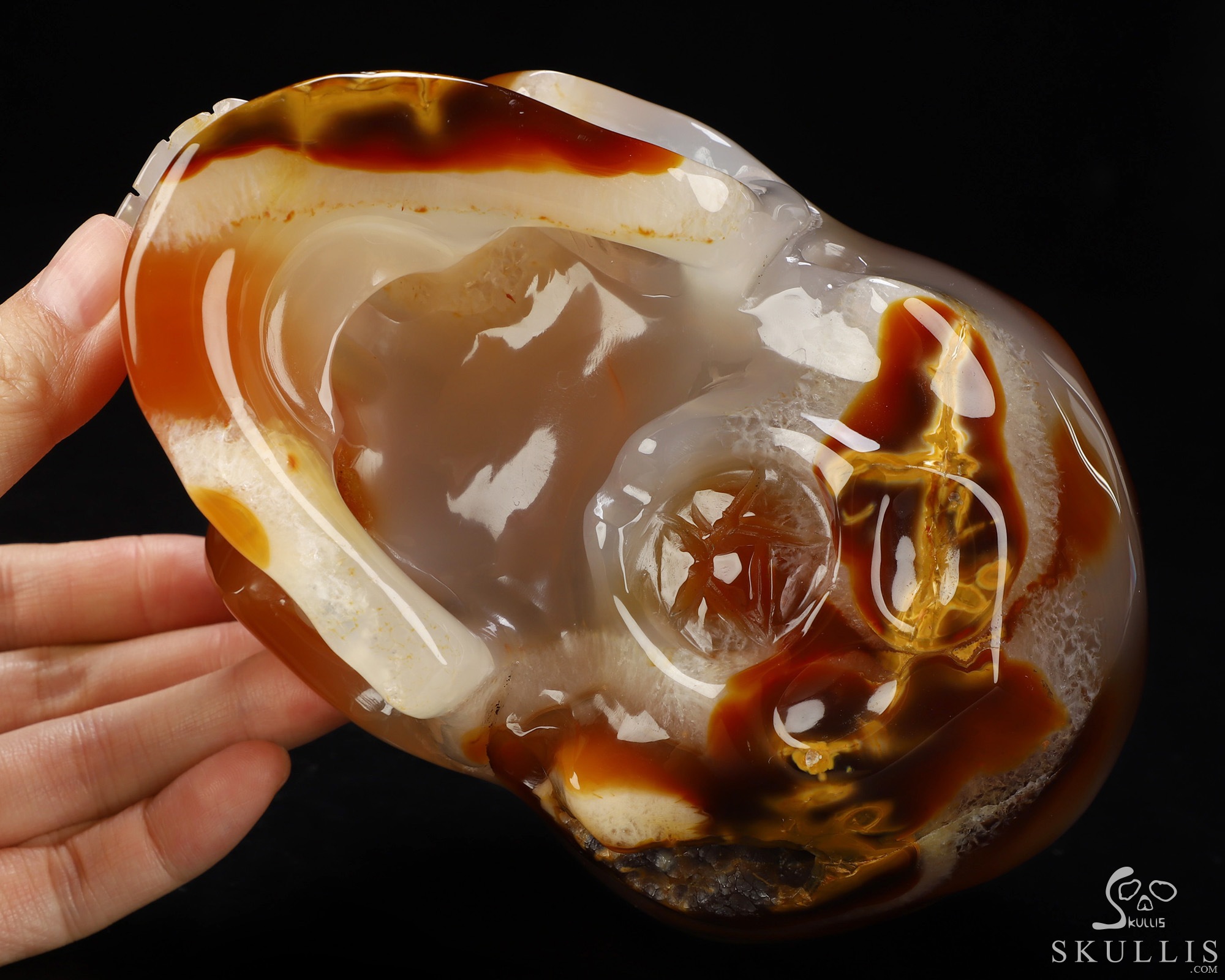 Lifesized 6.0" Carnelian Hand Carved Crystal Skull, Super Realistic, Crystal Healing Lifesized 6.0" Carnelian Hand Carved Crystal Skull, Super Realistic, Crystal Healing