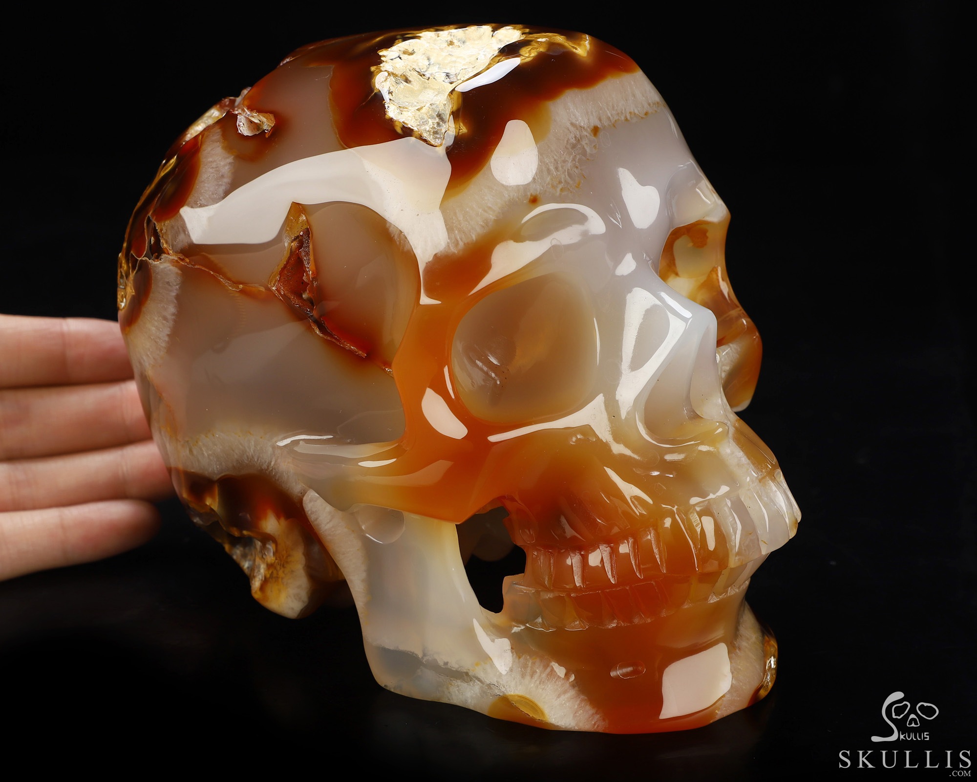 Lifesized 6.0" Carnelian Hand Carved Crystal Skull, Super Realistic, Crystal Healing Lifesized 6.0" Carnelian Hand Carved Crystal Skull, Super Realistic, Crystal Healing