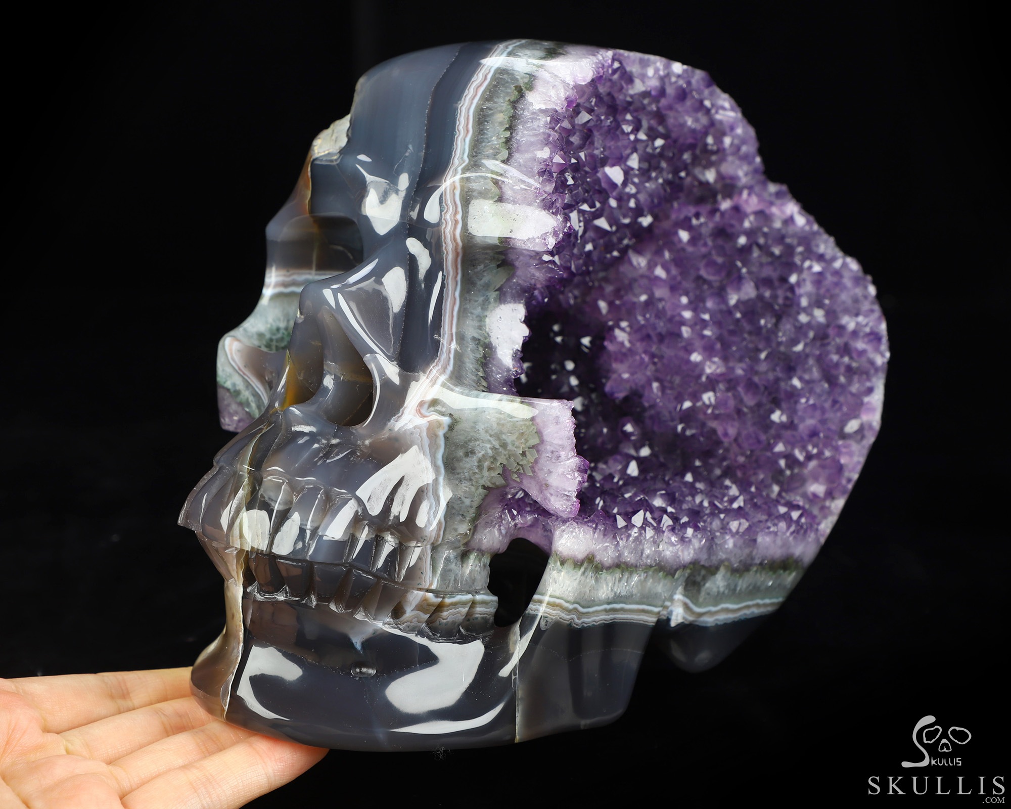 July 1, 2026 ACSAD (A Crystal Skull a Day) - The Midnight Mist - Lifesized 8.0" Agate Amethyst Geode Hand Carved Crystal Skull, Super Realistic, Crystal Healing July 1, 2026 ACSAD (A Crystal Skull a Day) - The Midnight Mist - Lifesized 8.0" Agate Amethyst Geode Hand Carved Crystal Skull, Super Realistic, Crystal Healing