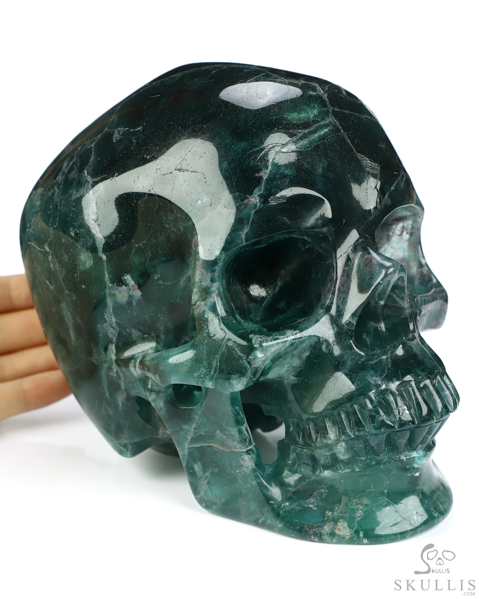 Lifesized 6.9" Fluorite Hand Carved Crystal Skull, Super Realistic, Crystal Healing Lifesized 6.9" Fluorite Hand Carved Crystal Skull, Super Realistic, Crystal Healing