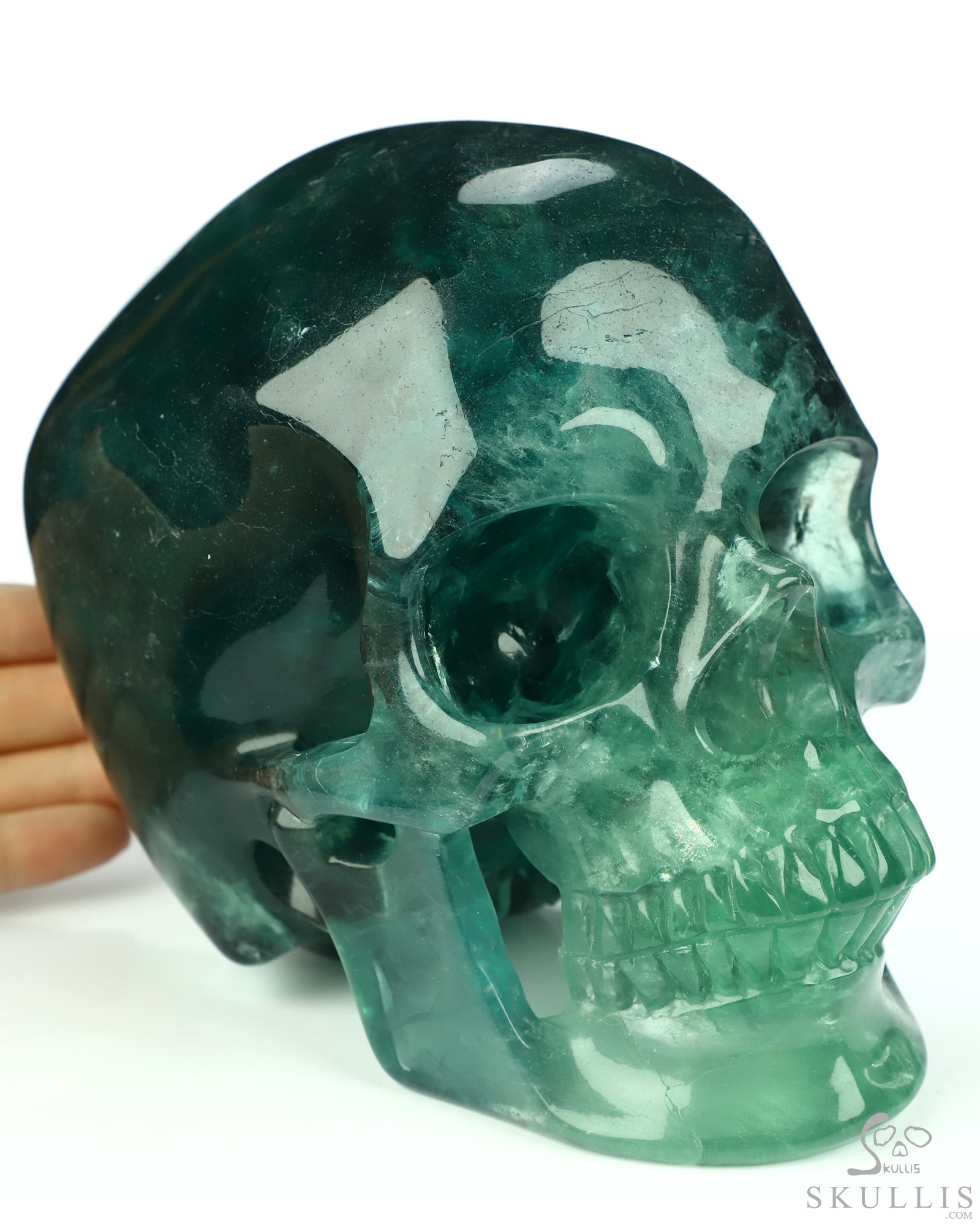Lifesized 6.7" Fluorite Hand Carved Crystal Skull, Super Realistic, Crystal Healing Lifesized 6.7" Fluorite Hand Carved Crystal Skull, Super Realistic, Crystal Healing