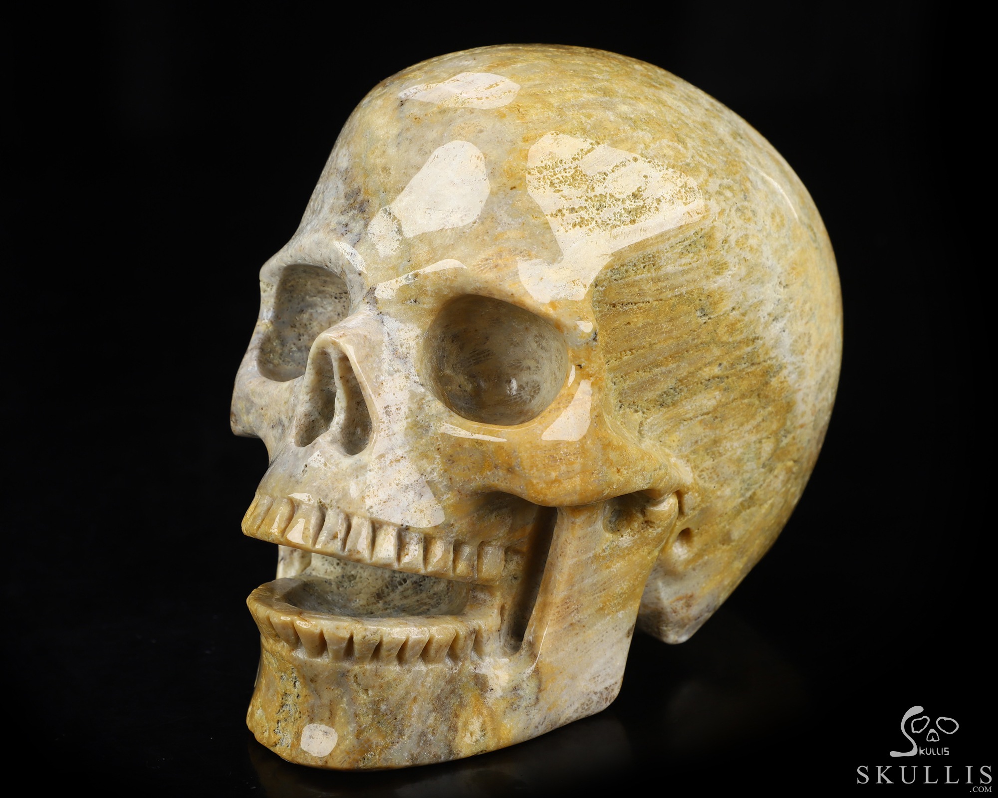 5.0" Coral Fossil Hand Carved Singing Crystal Skull Sculpture, Crystal Healing 5.0" Coral Fossil Hand Carved Singing Crystal Skull Sculpture, Crystal Healing
