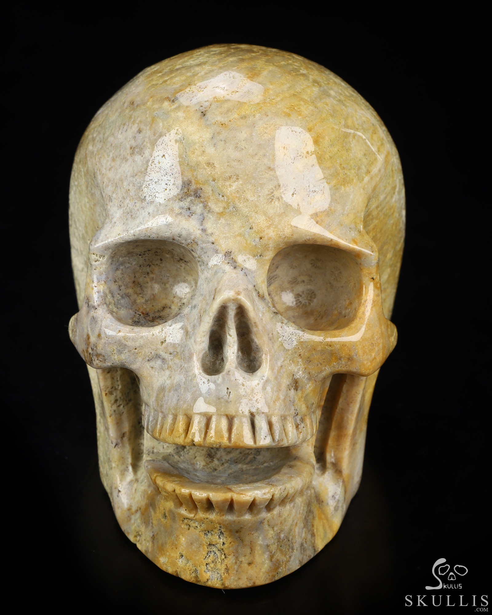 5.0" Coral Fossil Hand Carved Singing Crystal Skull Sculpture, Crystal Healing 5.0" Coral Fossil Hand Carved Singing Crystal Skull Sculpture, Crystal Healing