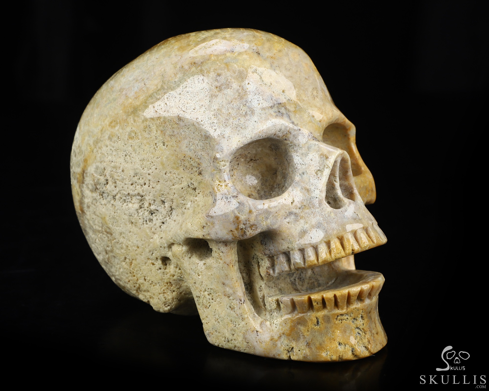 5.0" Coral Fossil Hand Carved Singing Crystal Skull Sculpture, Crystal Healing 5.0" Coral Fossil Hand Carved Singing Crystal Skull Sculpture, Crystal Healing