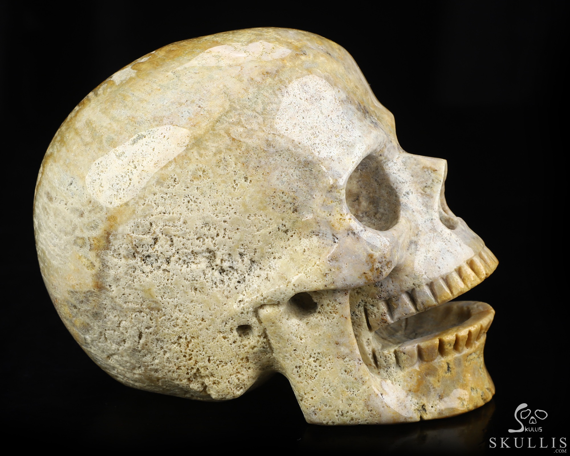5.0" Coral Fossil Hand Carved Singing Crystal Skull Sculpture, Crystal Healing 5.0" Coral Fossil Hand Carved Singing Crystal Skull Sculpture, Crystal Healing