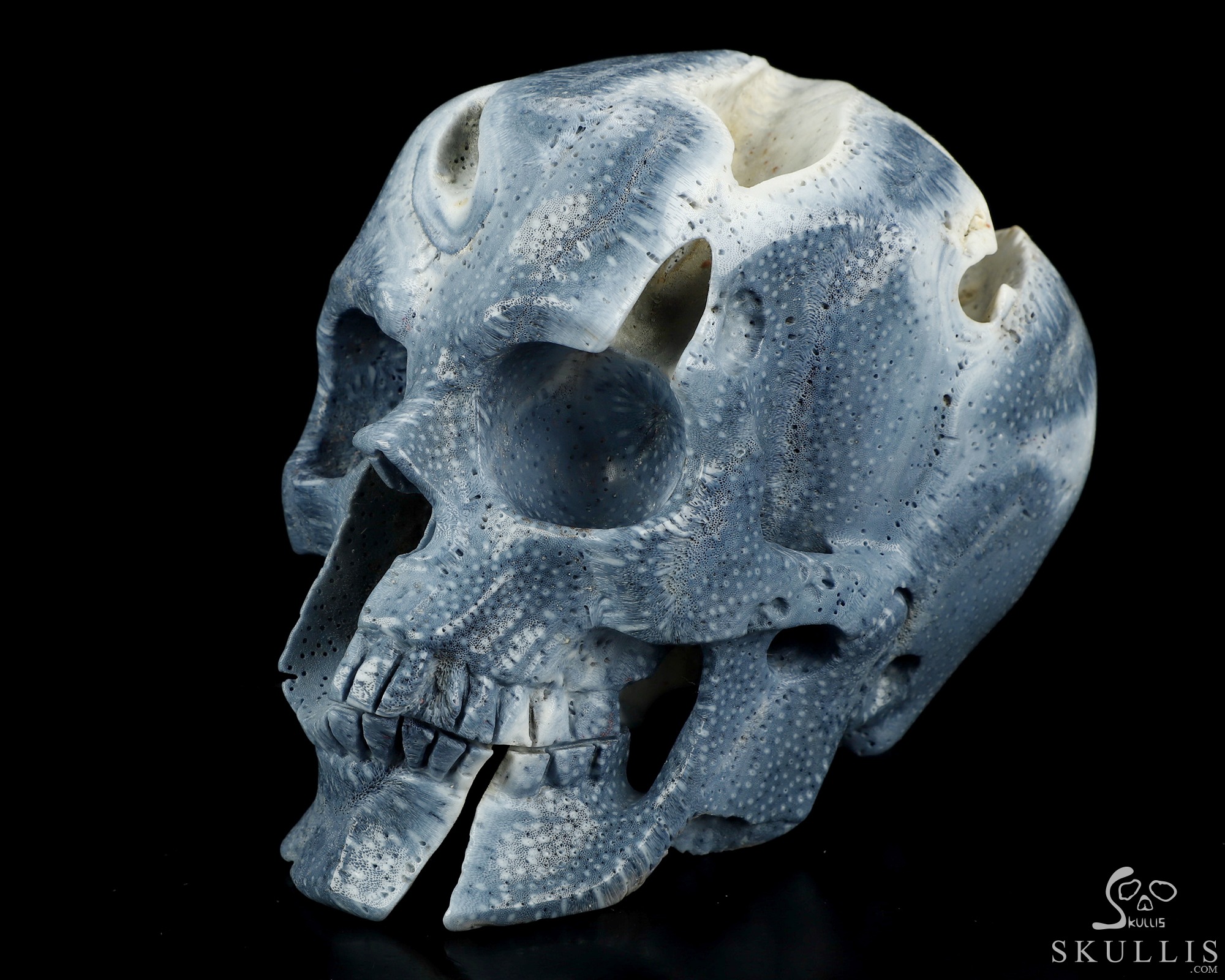 5.1" Blue Ridge Coral Hand Carved Crystal Skull, Realistic, Crystal Healing 5.1" Blue Ridge Coral Hand Carved Crystal Skull, Realistic, Crystal Healing