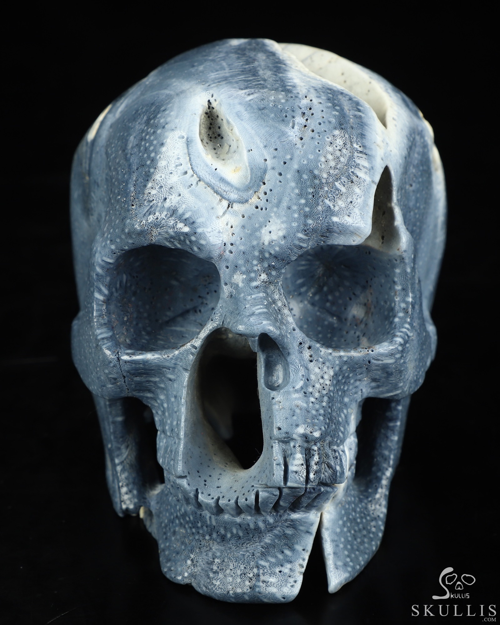 5.1" Blue Ridge Coral Hand Carved Crystal Skull, Realistic, Crystal Healing 5.1" Blue Ridge Coral Hand Carved Crystal Skull, Realistic, Crystal Healing