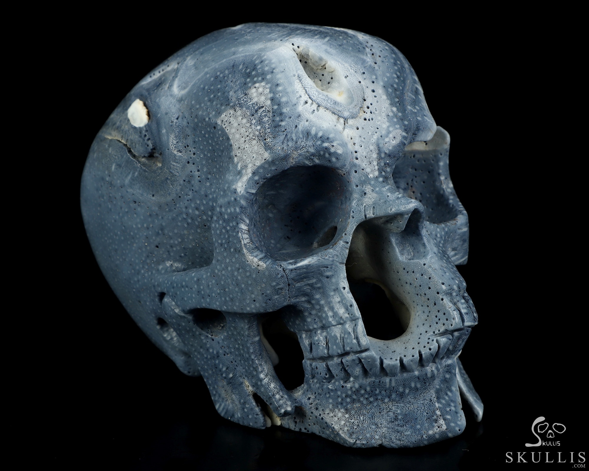 5.1" Blue Ridge Coral Hand Carved Crystal Skull, Realistic, Crystal Healing 5.1" Blue Ridge Coral Hand Carved Crystal Skull, Realistic, Crystal Healing