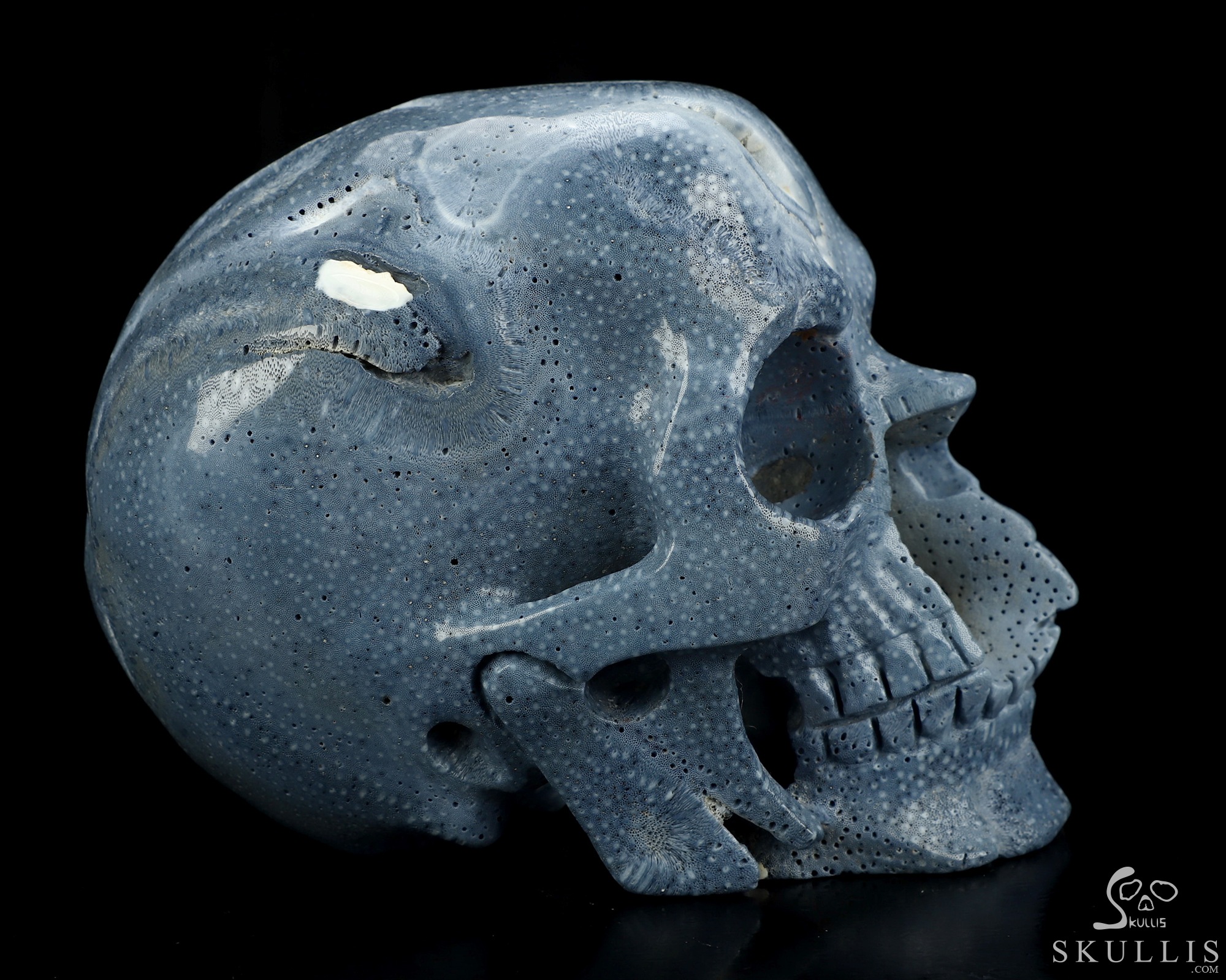 5.1" Blue Ridge Coral Hand Carved Crystal Skull, Realistic, Crystal Healing 5.1" Blue Ridge Coral Hand Carved Crystal Skull, Realistic, Crystal Healing