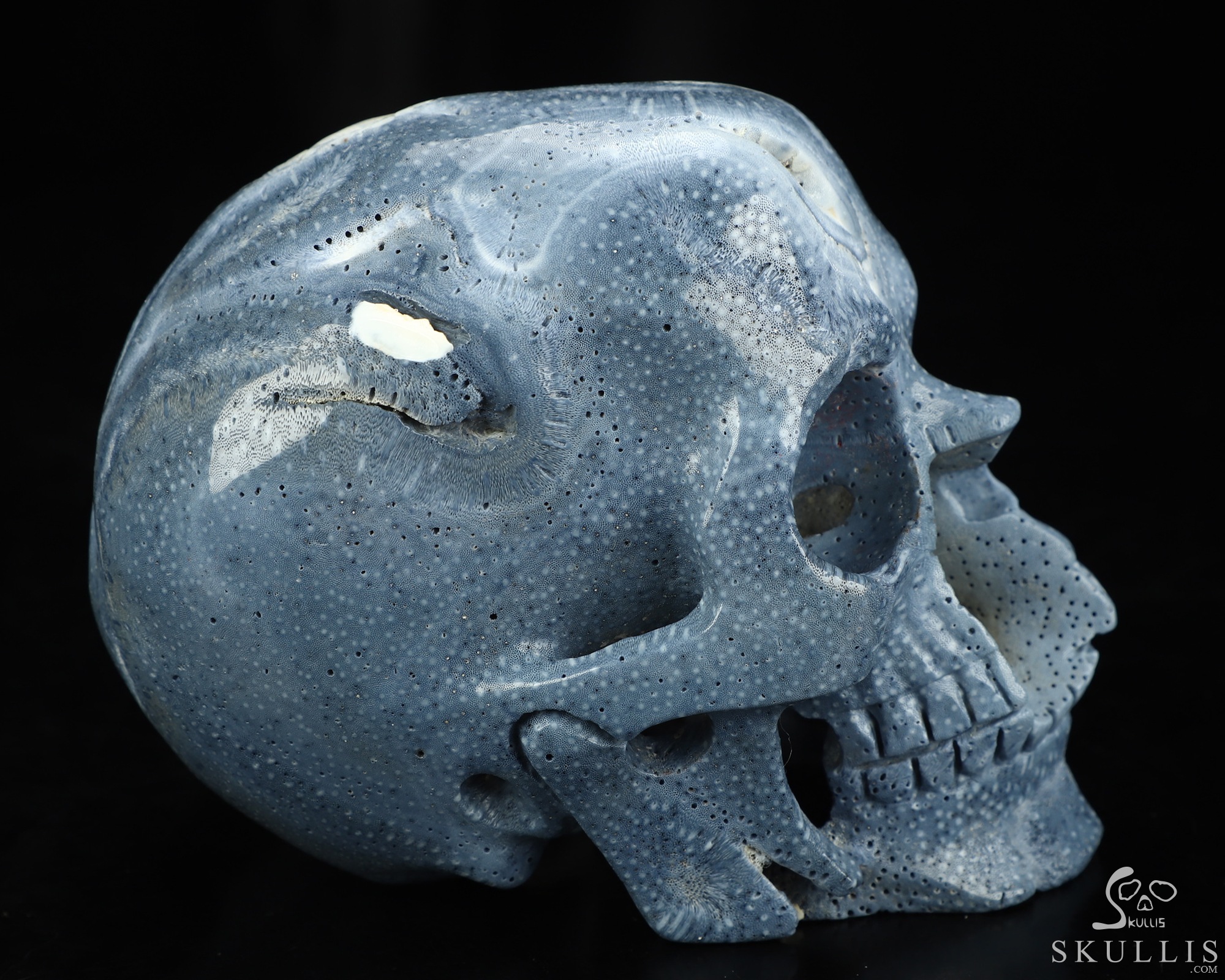 5.1" Blue Ridge Coral Hand Carved Crystal Skull, Realistic, Crystal Healing 5.1" Blue Ridge Coral Hand Carved Crystal Skull, Realistic, Crystal Healing