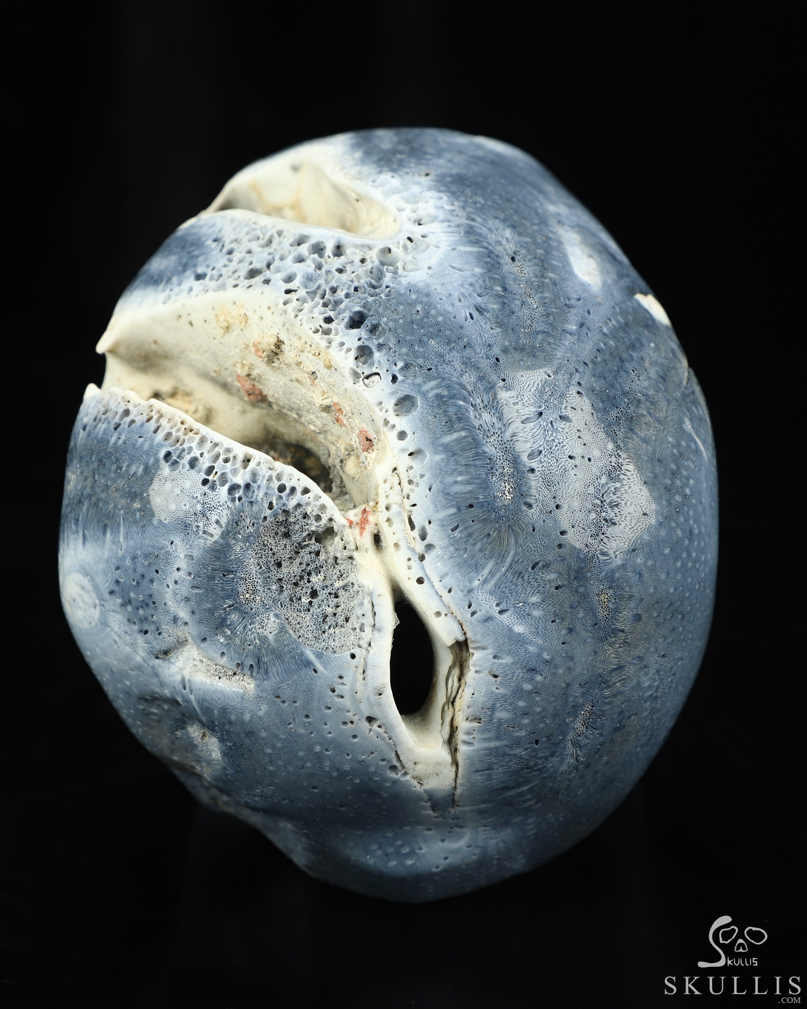 5.1" Blue Ridge Coral Hand Carved Crystal Skull, Realistic, Crystal Healing 5.1" Blue Ridge Coral Hand Carved Crystal Skull, Realistic, Crystal Healing