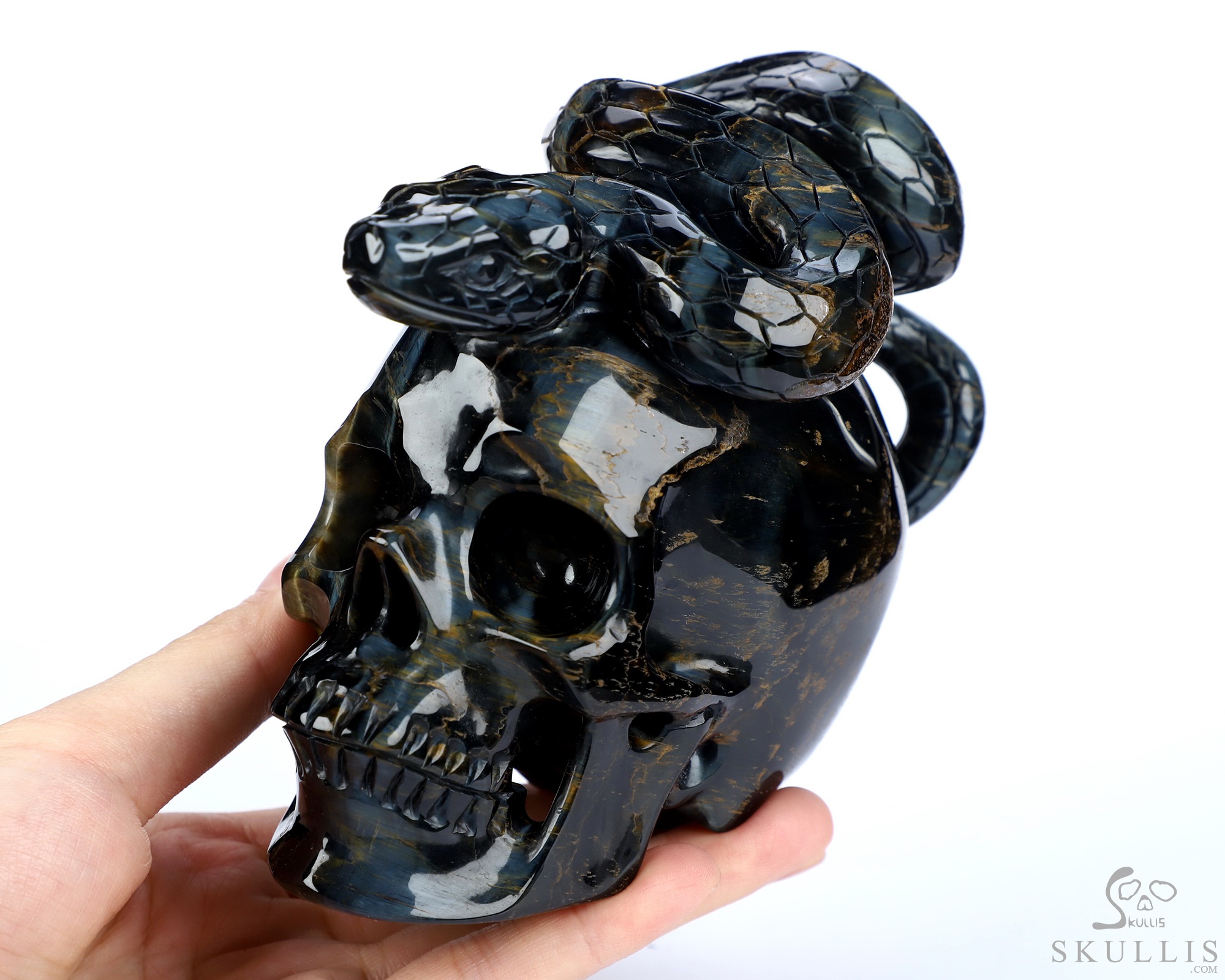 5.1" Blue & Gold Tiger's Eye Hand Carved Crystal Skull and Snake Sculpture, Crystal Healing 5.1" Blue & Gold Tiger's Eye Hand Carved Crystal Skull and Snake Sculpture, Crystal Healing