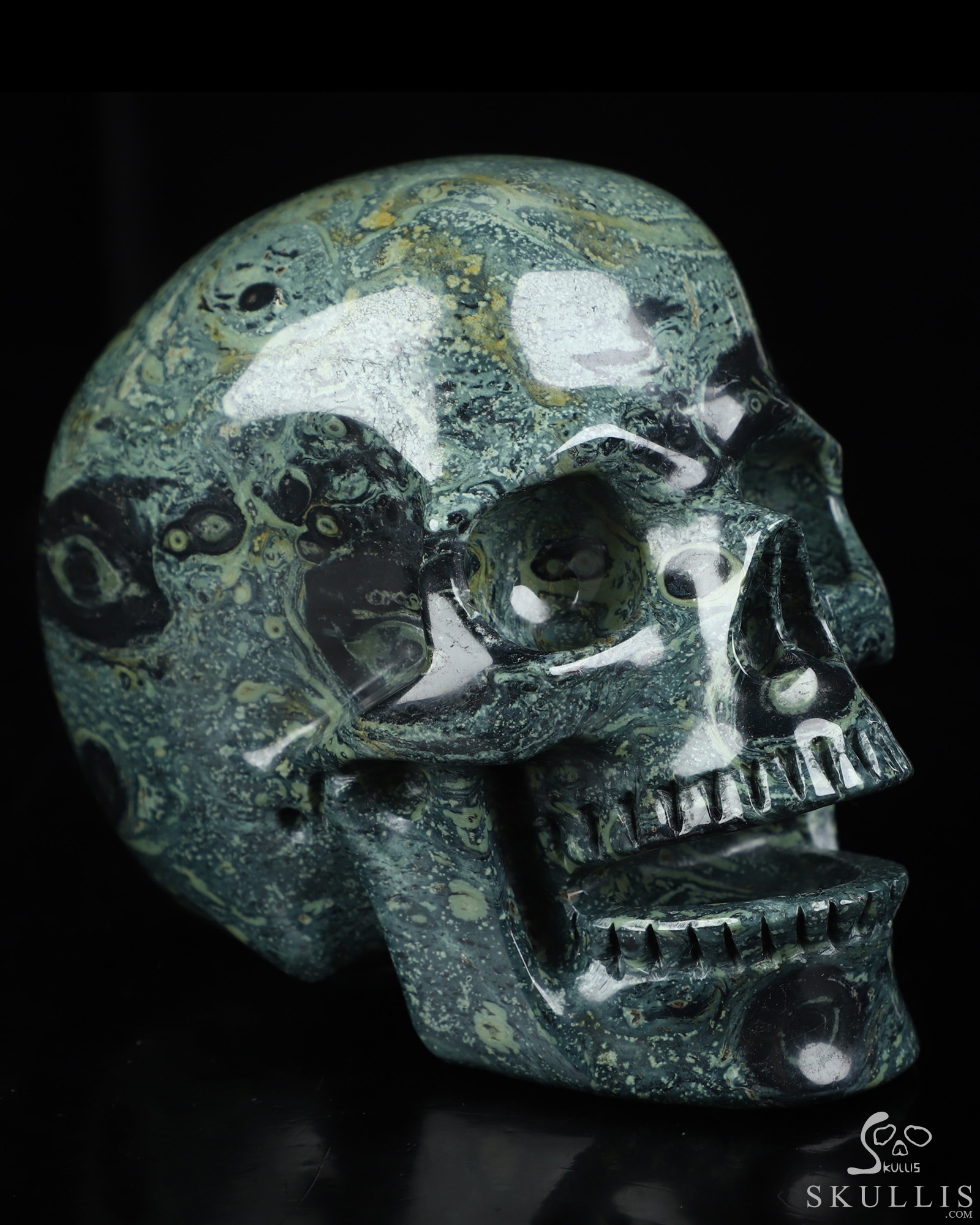 5.0" Kambaba Jasper Hand Carved Singing Crystal Skull Sculpture, Crystal Healing 5.0" Kambaba Jasper Hand Carved Singing Crystal Skull Sculpture, Crystal Healing
